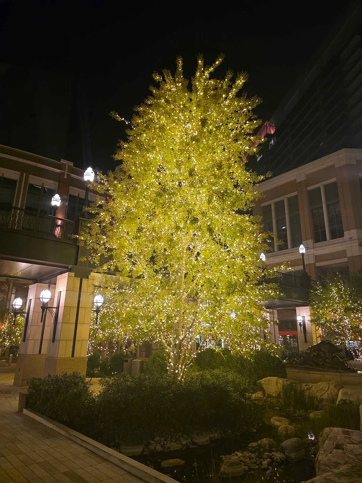 citycreek2 (2) 1.jpg