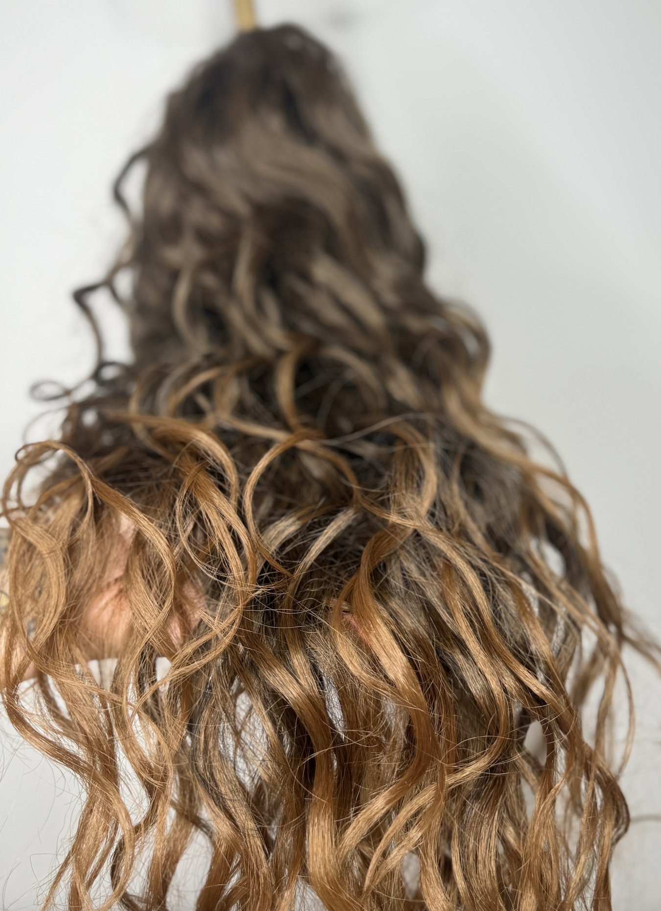 Screenshot 2026-02-01 at 7.42.34 pm.png