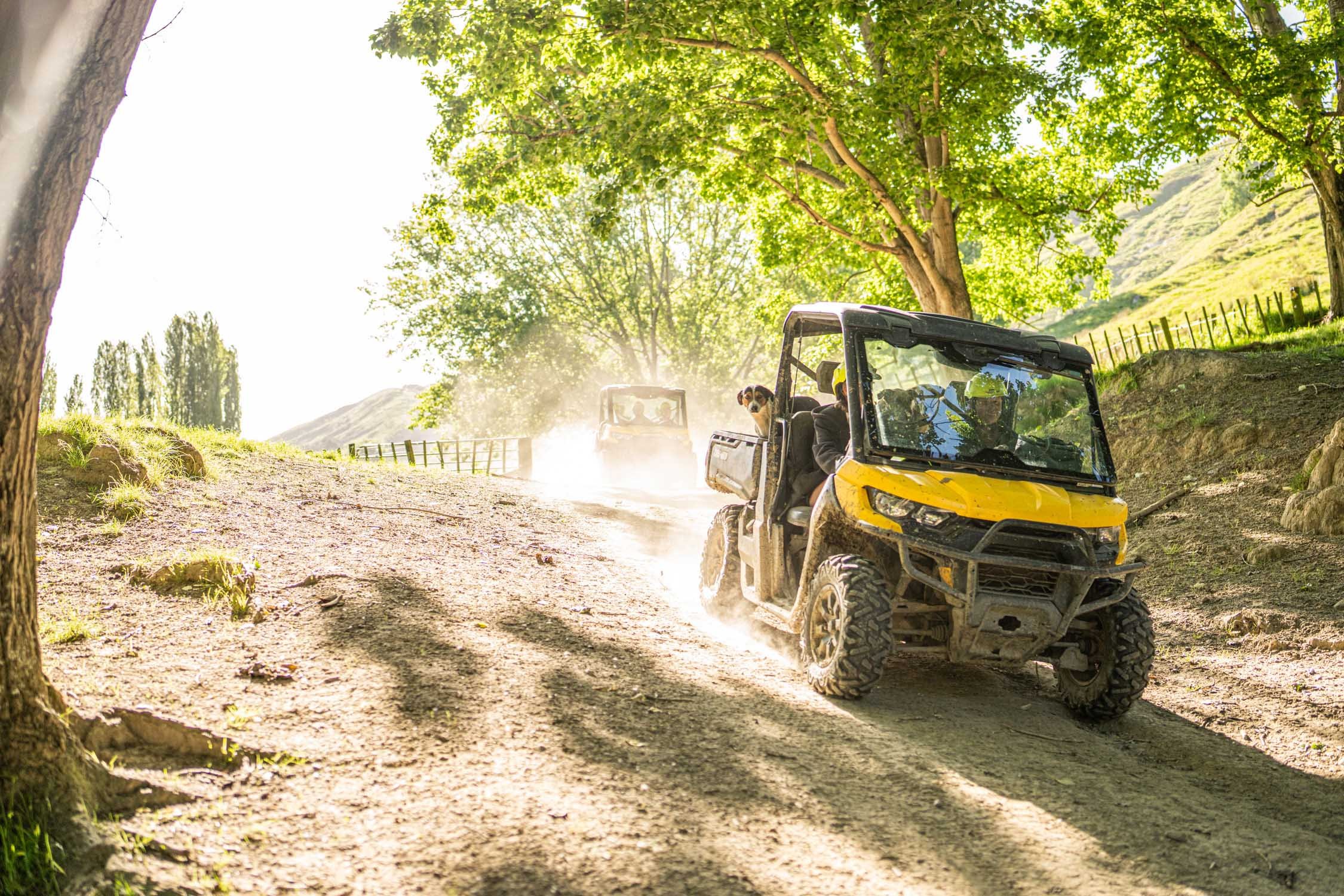 Off-road vehicles driving on a dirt trail in a sunny, wooded area.