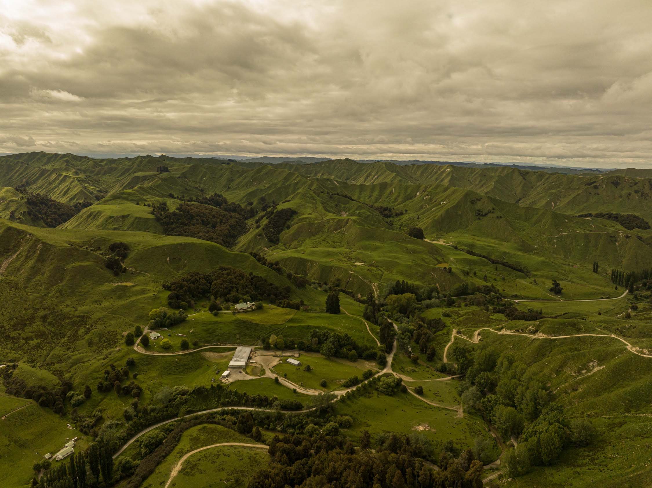 Aerial view of lush green rolling hills with winding dirt roads and scattered trees under a cloudy sky.