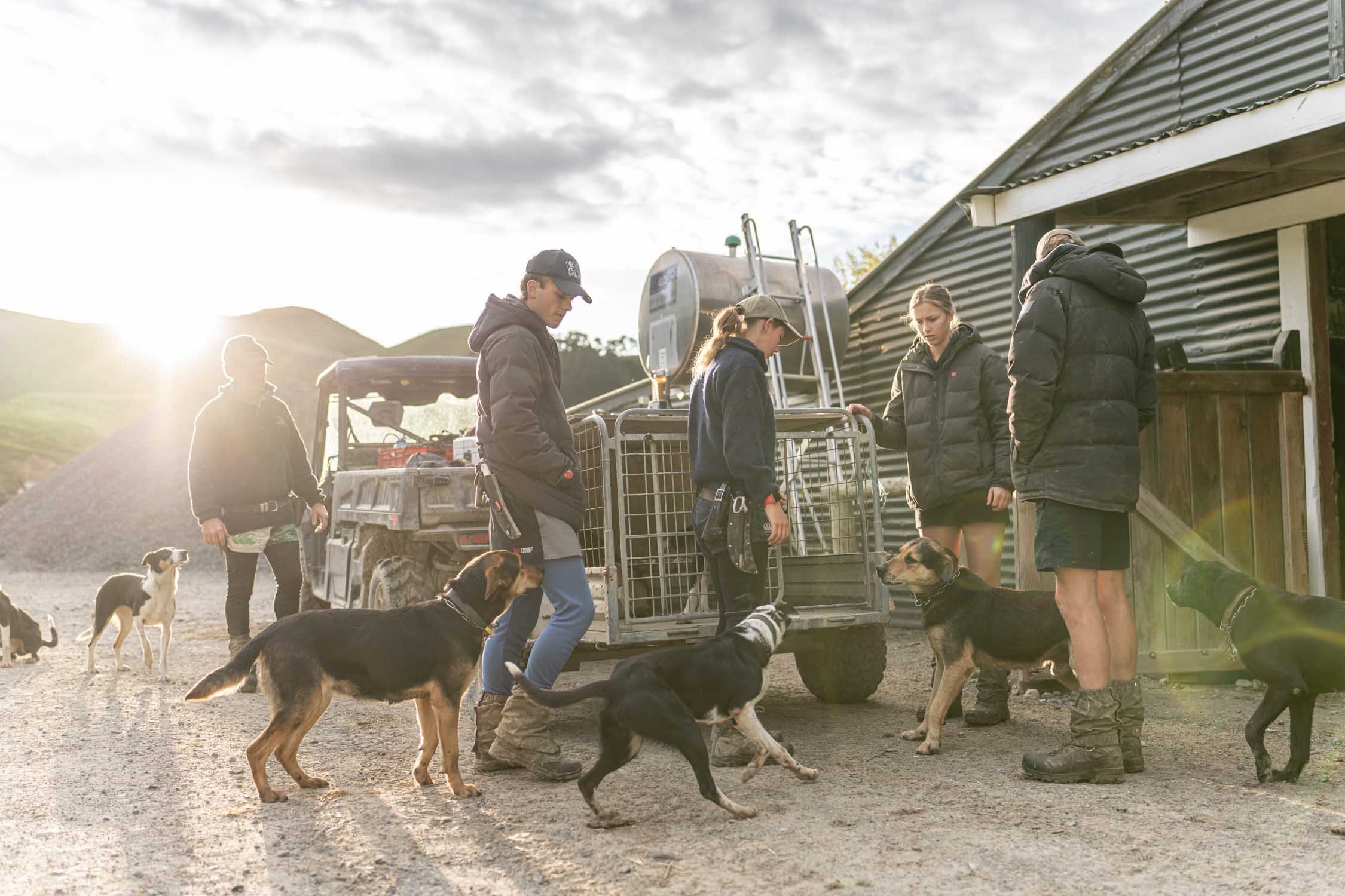 People and dogs near a farm vehicle with dog cages, outdoor setting.