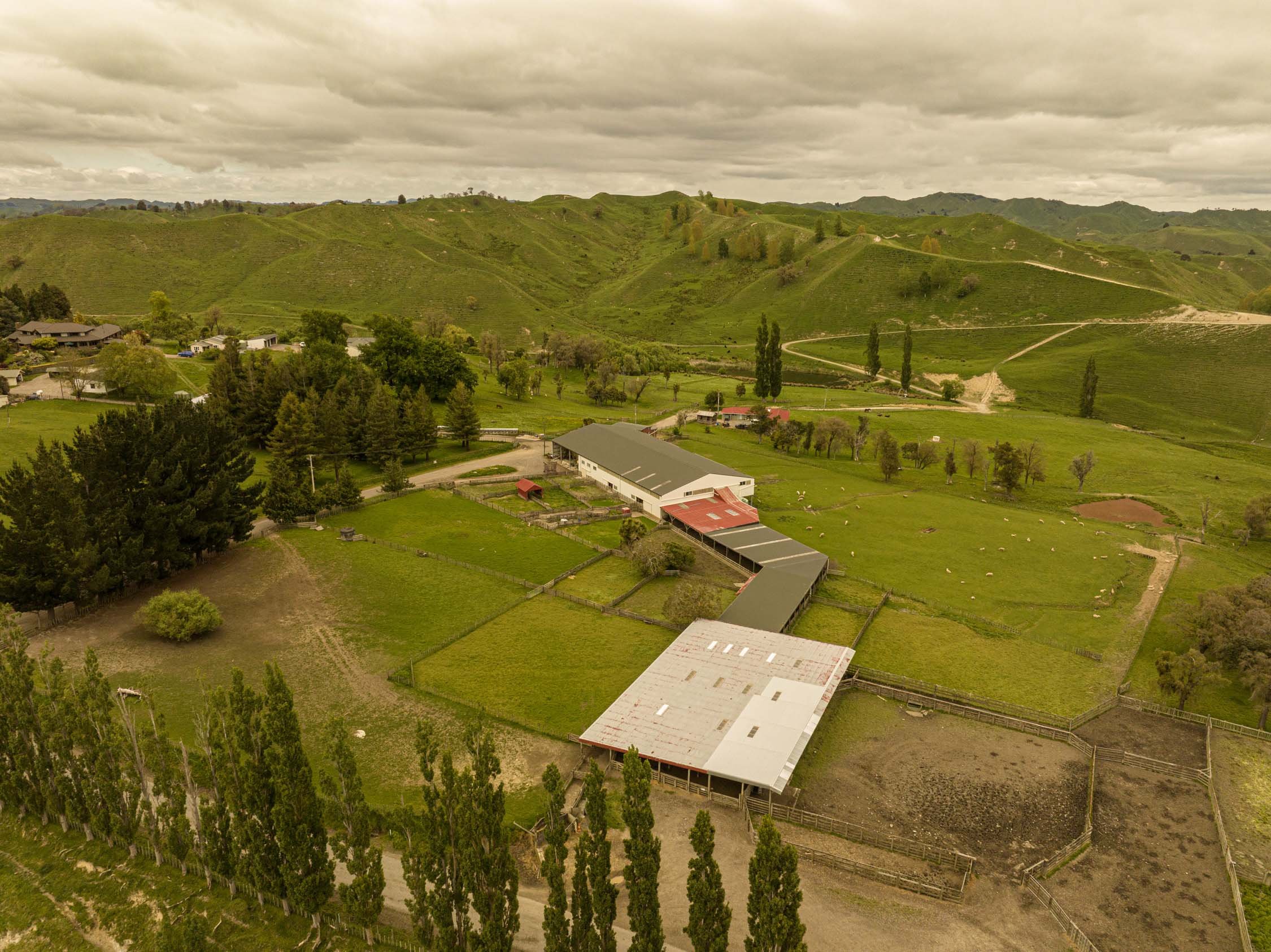Aerial view of a rural farm with green fields and hills, featuring barns and livestock pastures. The landscape is dotted with trees and bordered by rolling hills.