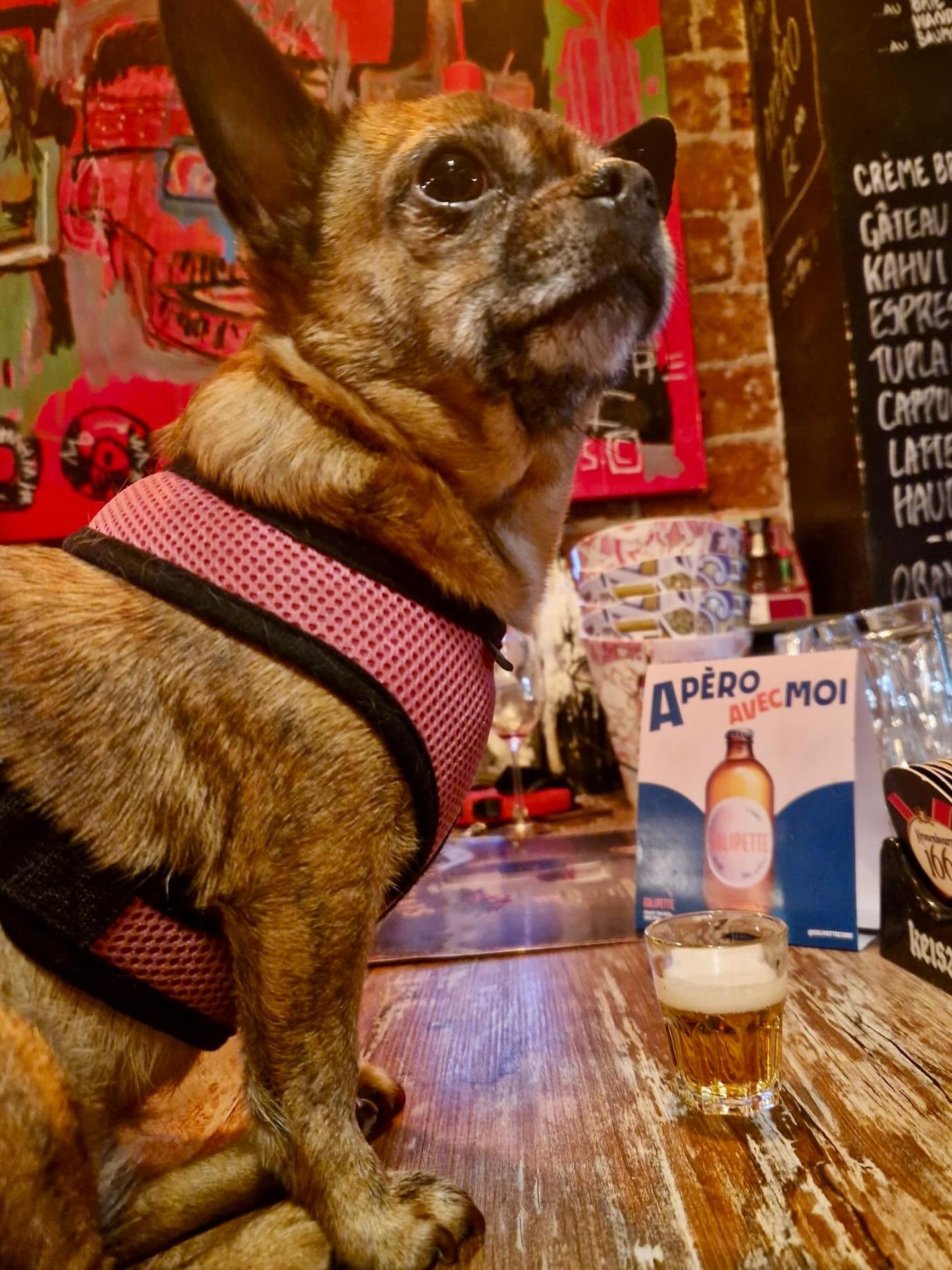 🌦️ Sunnuntaina 26.10 kotiruokina:

🌶️ KANAA LEMPE&Auml;SS&Auml; CHILI-

CHEDDARKASTIKKEESSA, 

paahdettuja perunoita &amp;  vihannesta 

🥗 KASVISLASAGNE, salaattia

SUNNUNTAILOUNAS TARJOLLA KLO 14-

TERVETULOA 🥰

#sunnuntailounas #heleats #eatinh