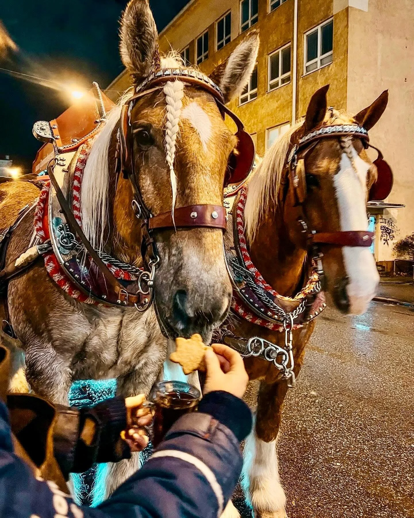 Sunnuntain 14.12 kotiruoat:
 

🥗 JOULUINEN KALALAUTANEN

* Graavikalaa, savukalaa, skagenr&ouml;ra, keitetyt perunat, saaristolaisleip&auml;&auml; ja kananmunaa

🥗 JAUHELIHALASAGNE, salaattia

Kotiruoka on tarjolla sunnuntaisin klo 14-, tervetuloa 