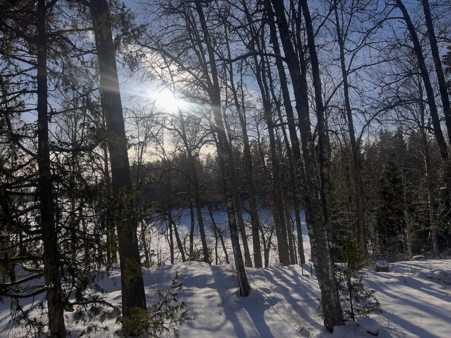 ❄️ Kohti kev&auml;tt&auml;! 

Ensi sunnuntaina jo 

  MAALISKUU ☀️❄️☀️

Kotiruoat sunnuntaina 1.3:

🥗 VORSCHMACK 

* uuniperuna, punajuuri, 
smetana &amp; myrttinen 🥒

🥗 PARMENTIER HIVERNAL AUX EPINARDS, POMMES DE TERRE &amp; 
CHEVRE FRAIS

Sama s