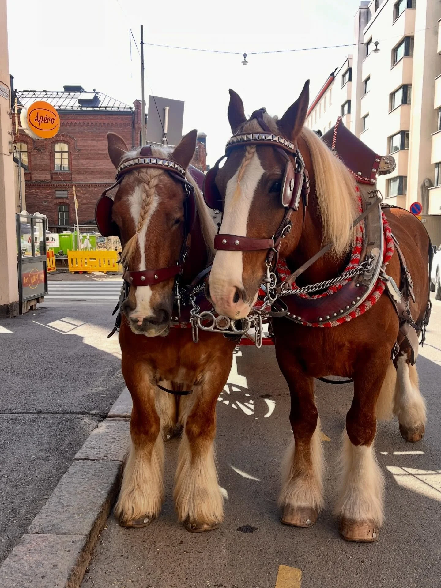 ☀️ Ensi sunnuntain 19.4 kotiruokina:

🍅 PERINTEINEN JAUHELIHALASAGNE

🍋 SAVUSTETTUA LOHTA &amp; 
SITRUUNALLA JA KAPRIKSILLA MAUSTETTUA PERUNASOSETTA

🥗 Kotiruoka tarjolla sunnuntaina klo 14-

🥰 TERVETULOA !

#sunnuntailounas #helsinkiwinebar #koi