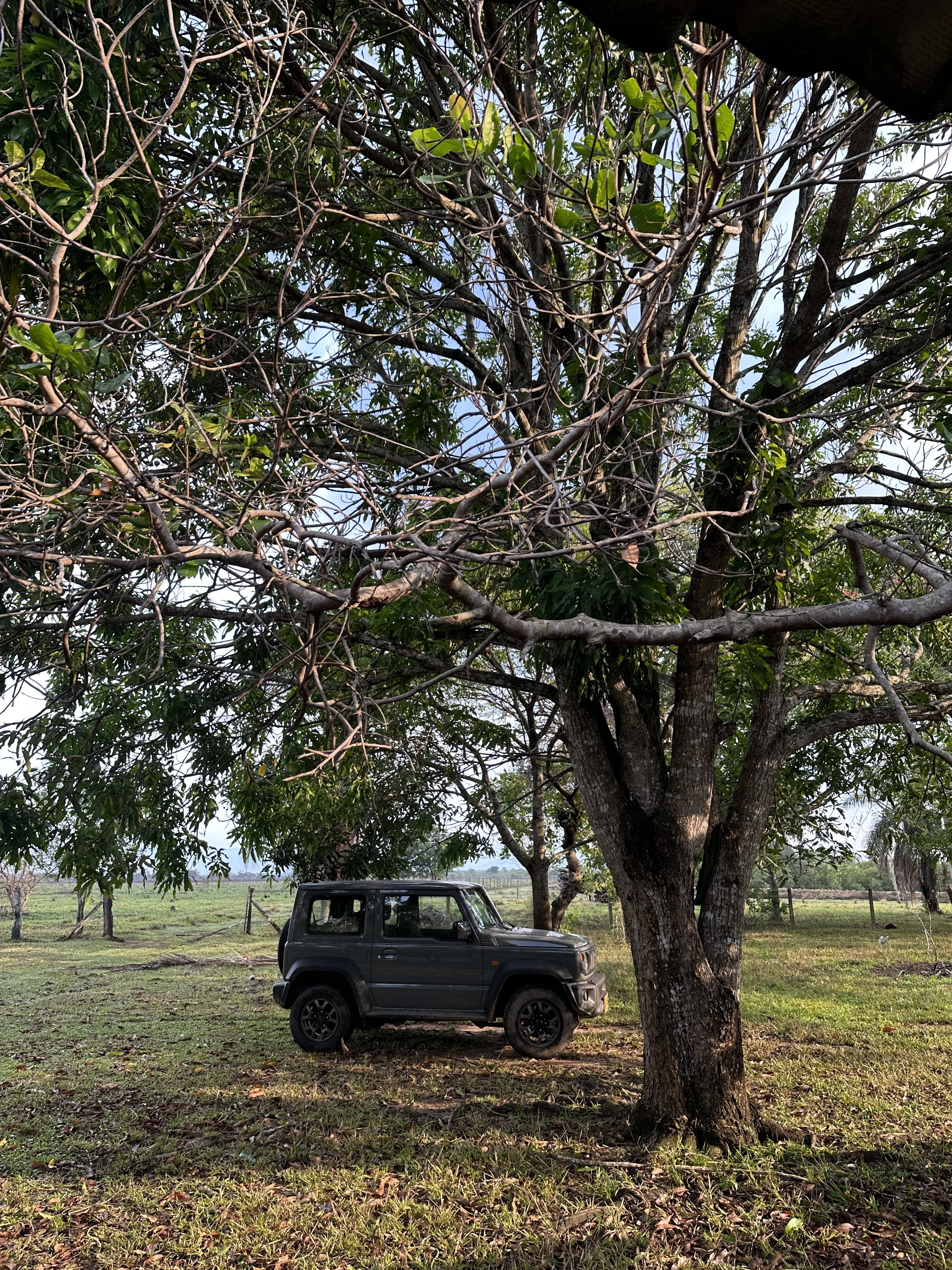 SAN JOSE, CASANARE