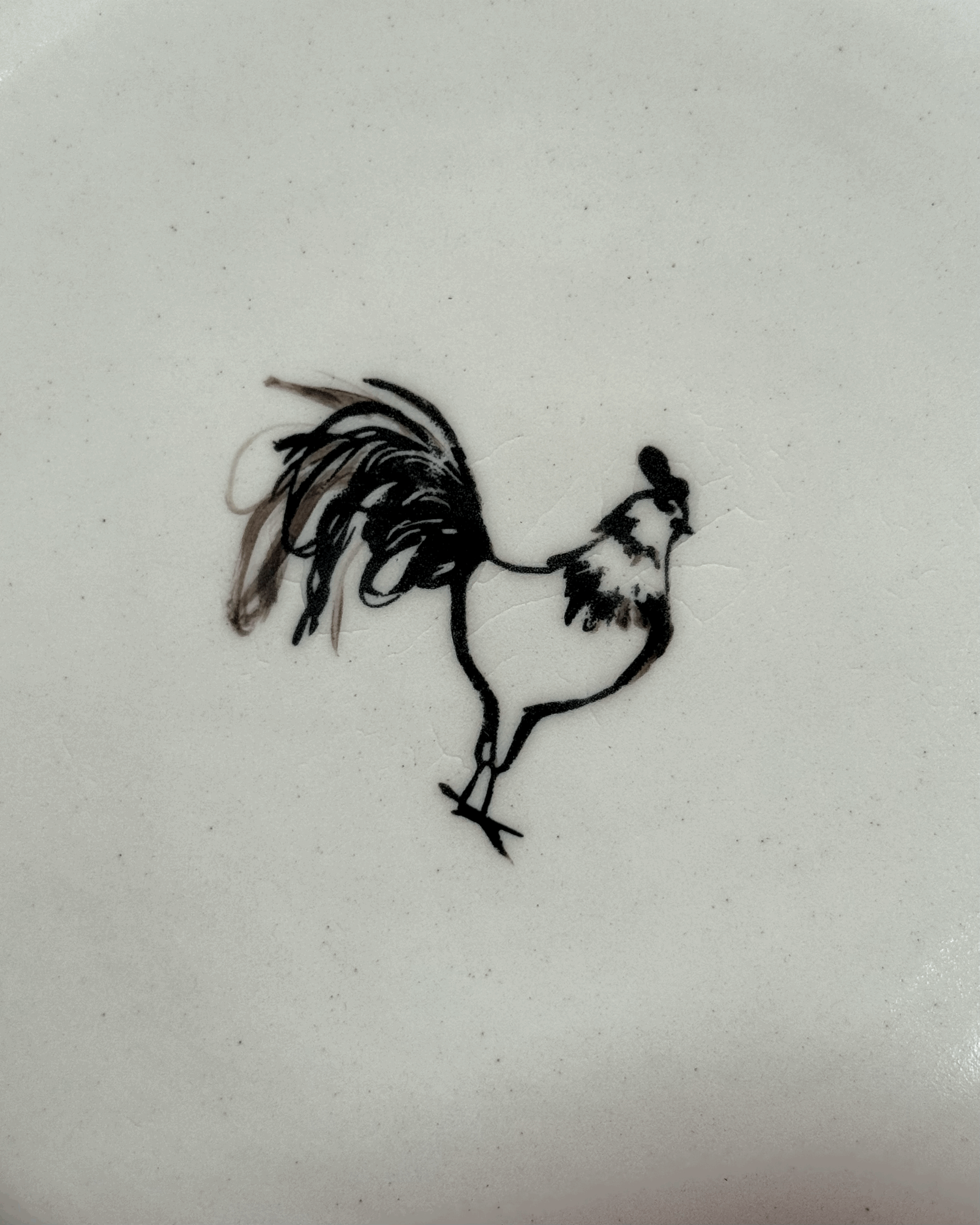 tempImageNq6Mby.gif