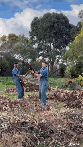 FinalGif-17314840817.gif