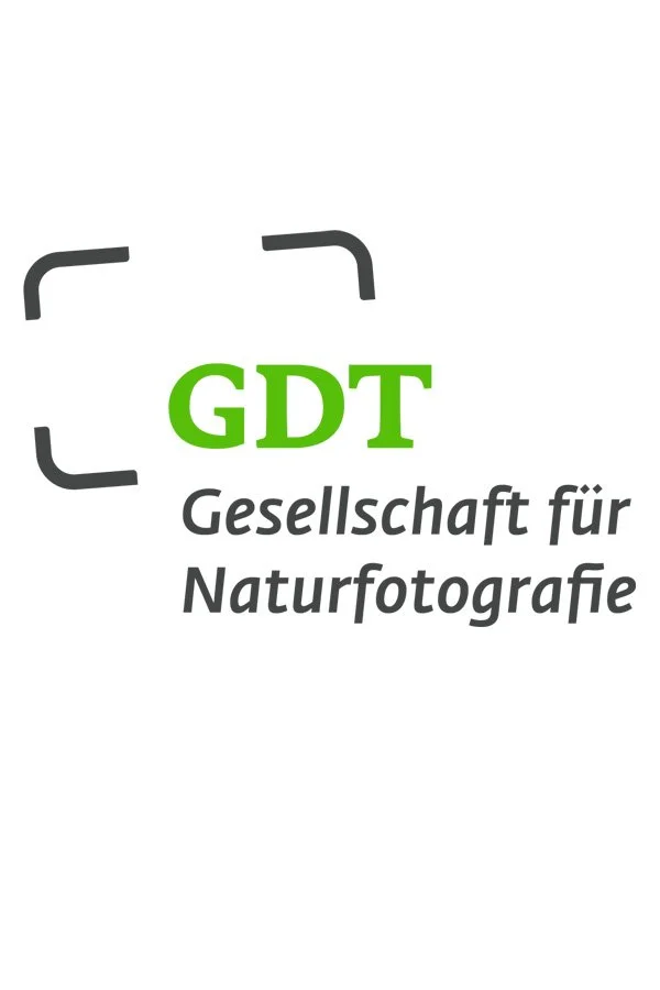 Der Weg zur GDT-Vollmitgliedschaft 