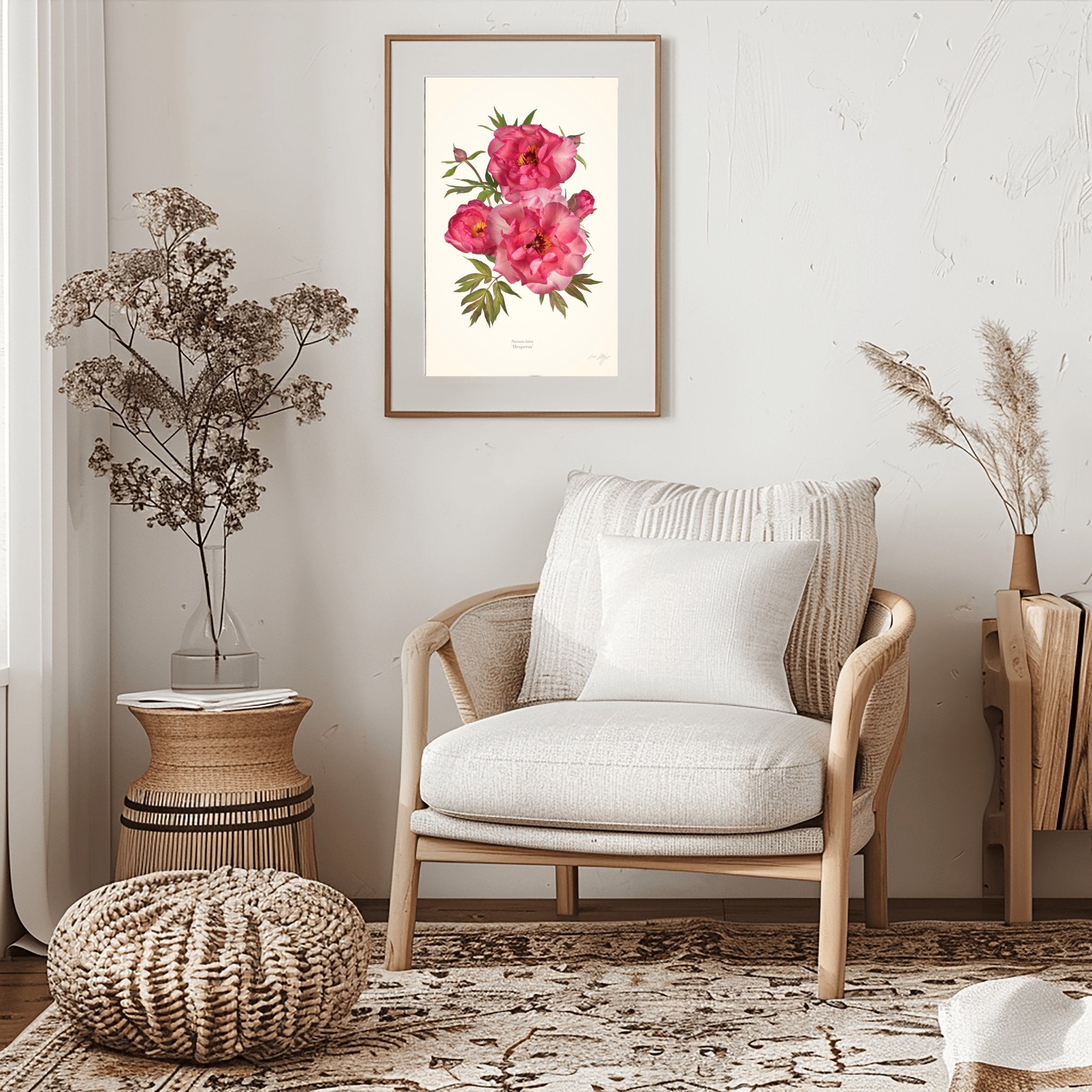Fine Art Print der Hesperus Pfingstrose in Eichenrahmen auf heller Wand
