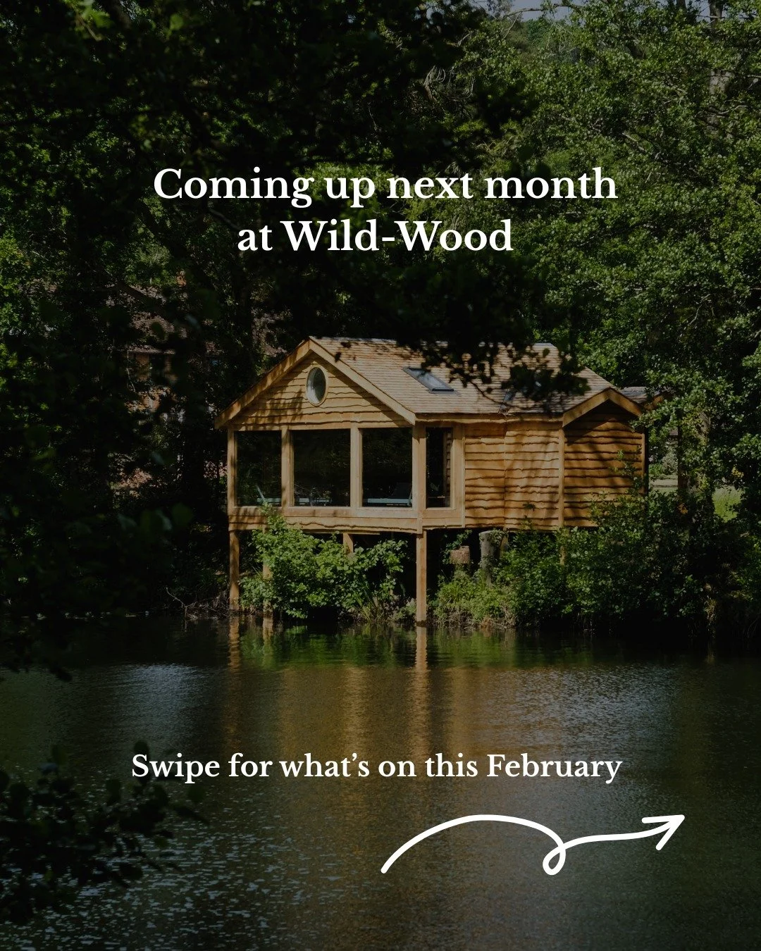 ✨ What&rsquo;s on this February at Wild-Wood ✨
From uplifting dance workshops and energising classes, to deeply restorative yoga, soothing sound baths, and our special Valentine&rsquo;s Morning, there&rsquo;s something for everyone.

Whether you&rsqu