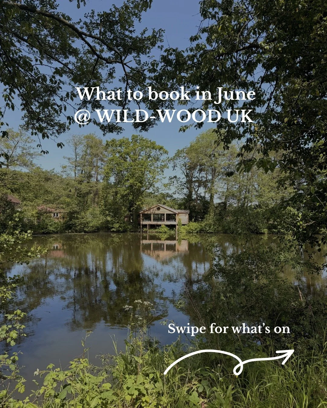 We can't quite believe that it's June already! ☀️

As we step into another beautiful month at Wild-wood UK, our regular weekly schedule of yoga, pilates, fitness classes and wild swimming continues to help you move, connect and recharge in nature.

A