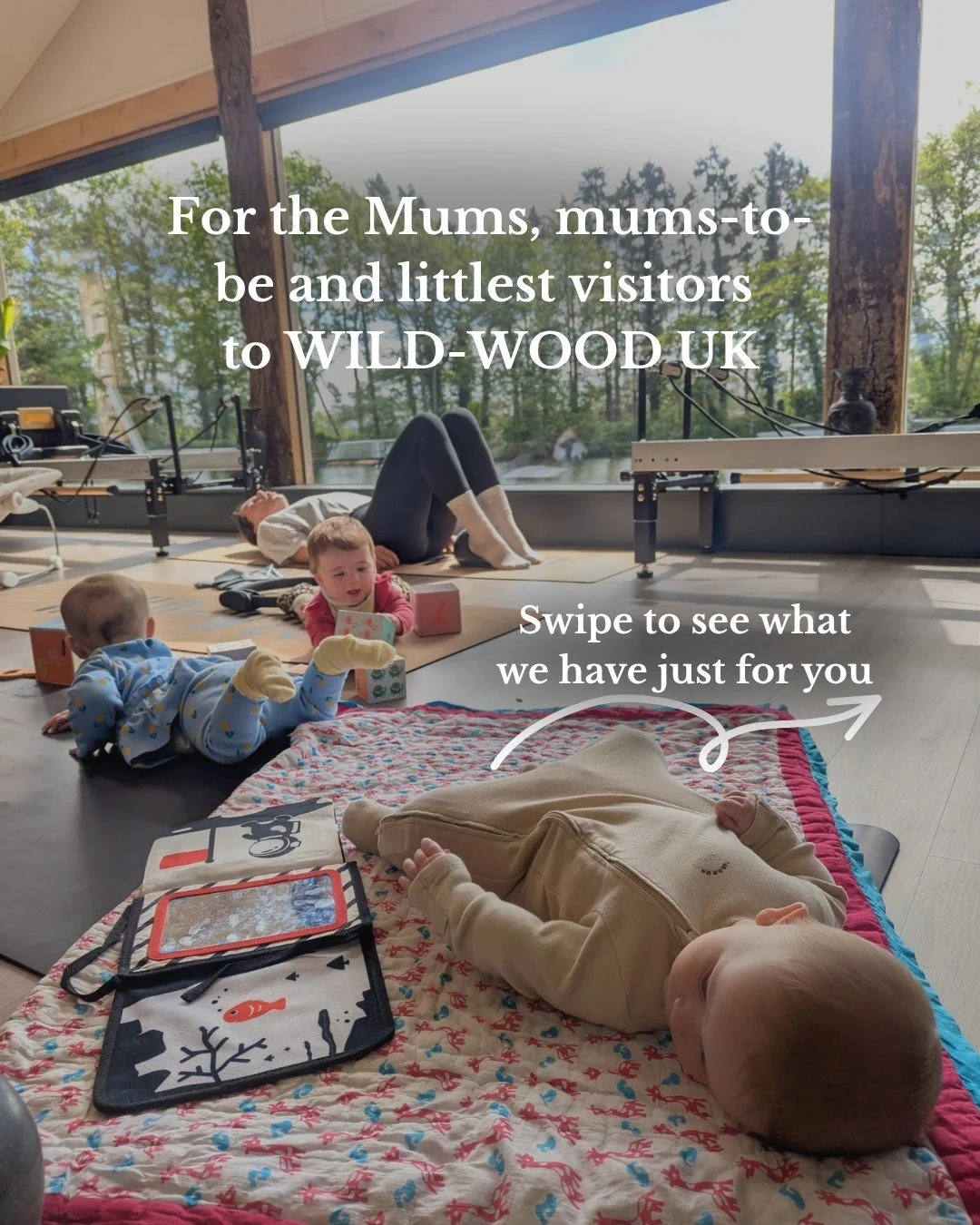 Becoming a mum can change everything...your body, your routine, your priorities and often your sense of community too 💕

At Wild Wood, we want to create a space where mums and mums-to-be can move, slow down, meet others and feel supported through ev
