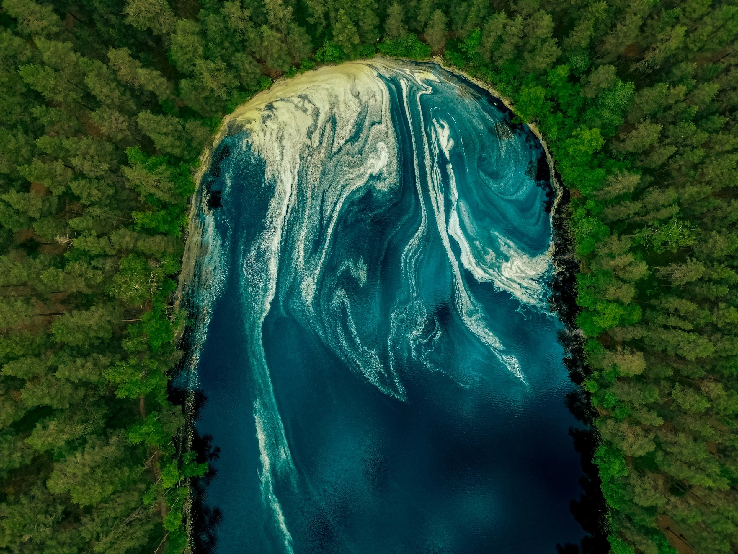 The 'Central Casting': Kevin Warsh Tapped to Lead the Federal Reserve