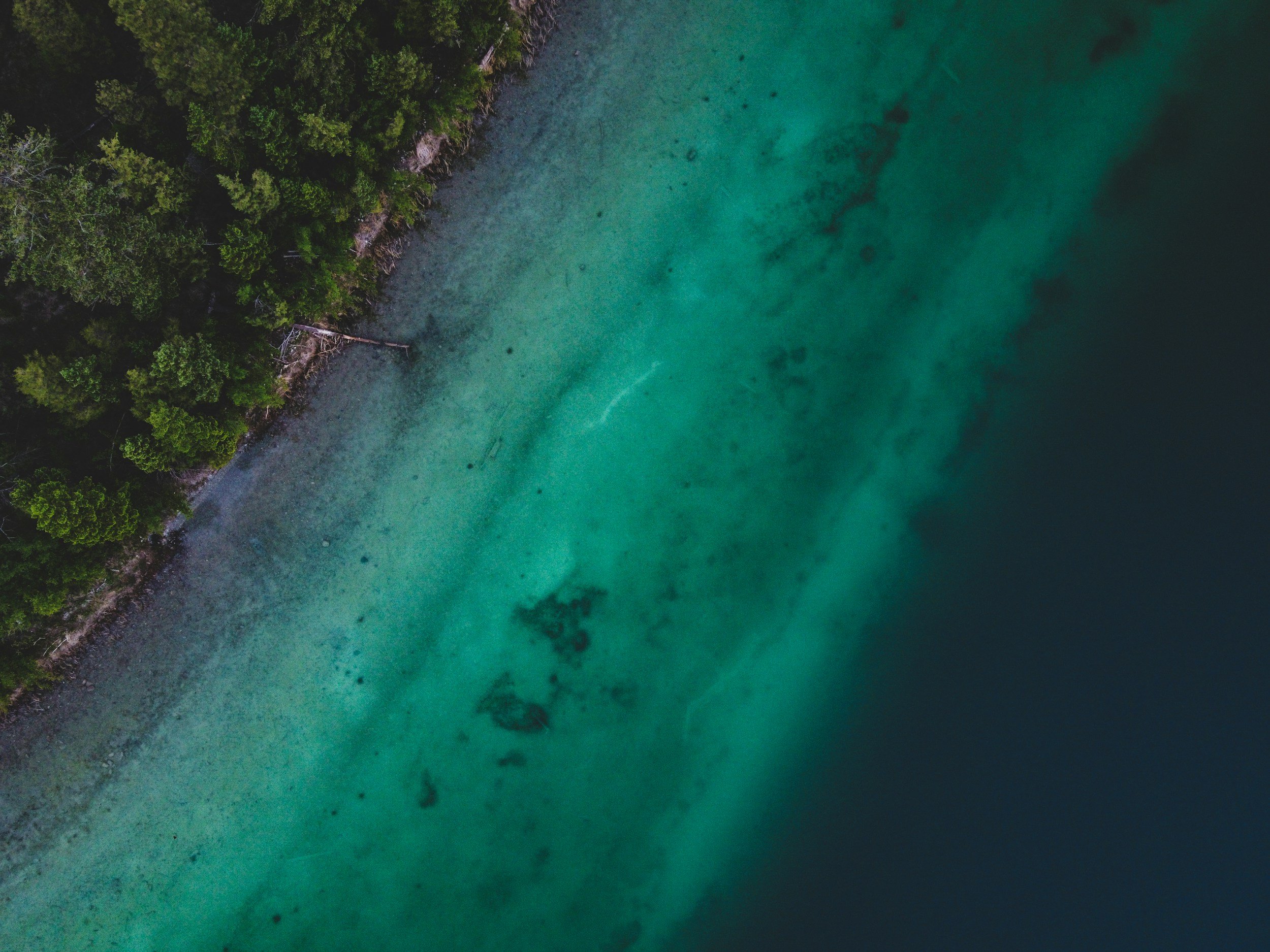 The Solow Productivity Paradox