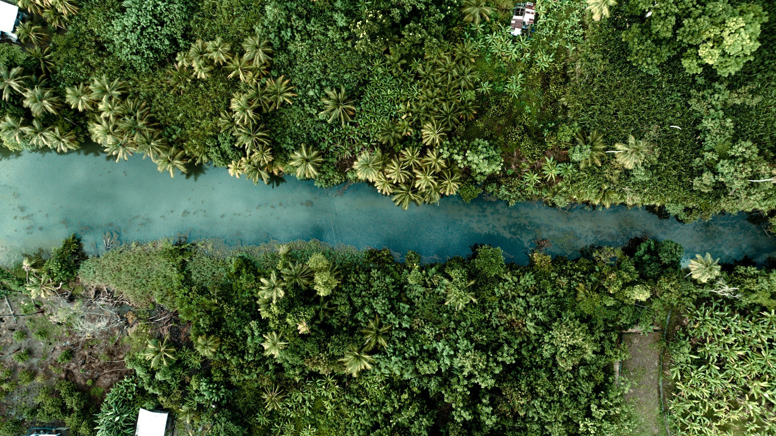 The oil tax refunded