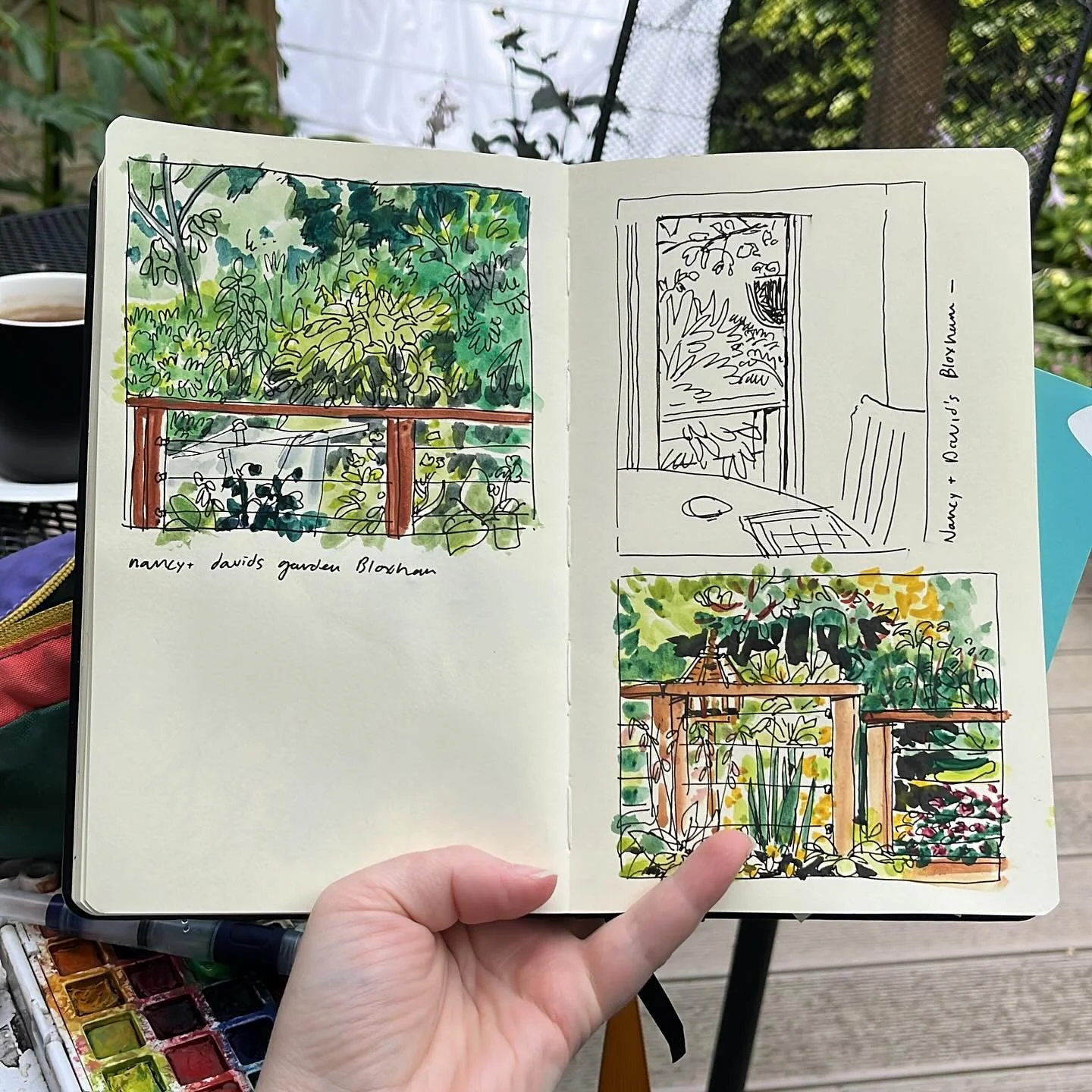 Sketching in the garden 🪴 🌱🫛