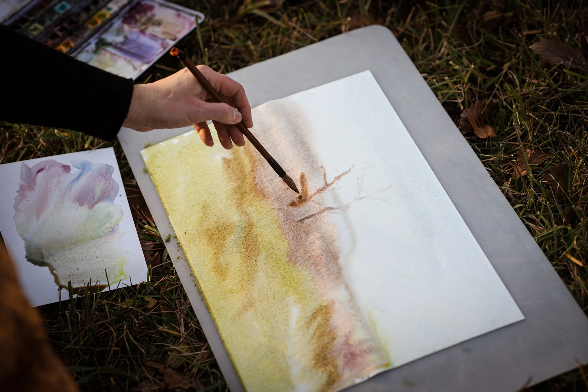 M2H_7149.jpeg (Copy) (Copy)