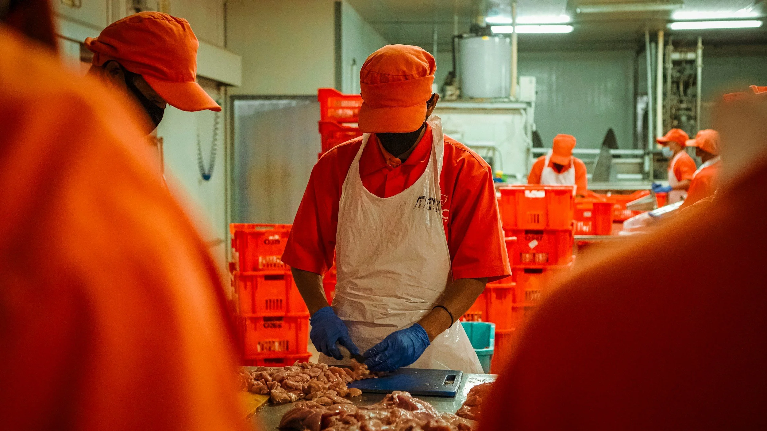 Workers in orange uniforms and hats processing chicken meat in a food processing plant.