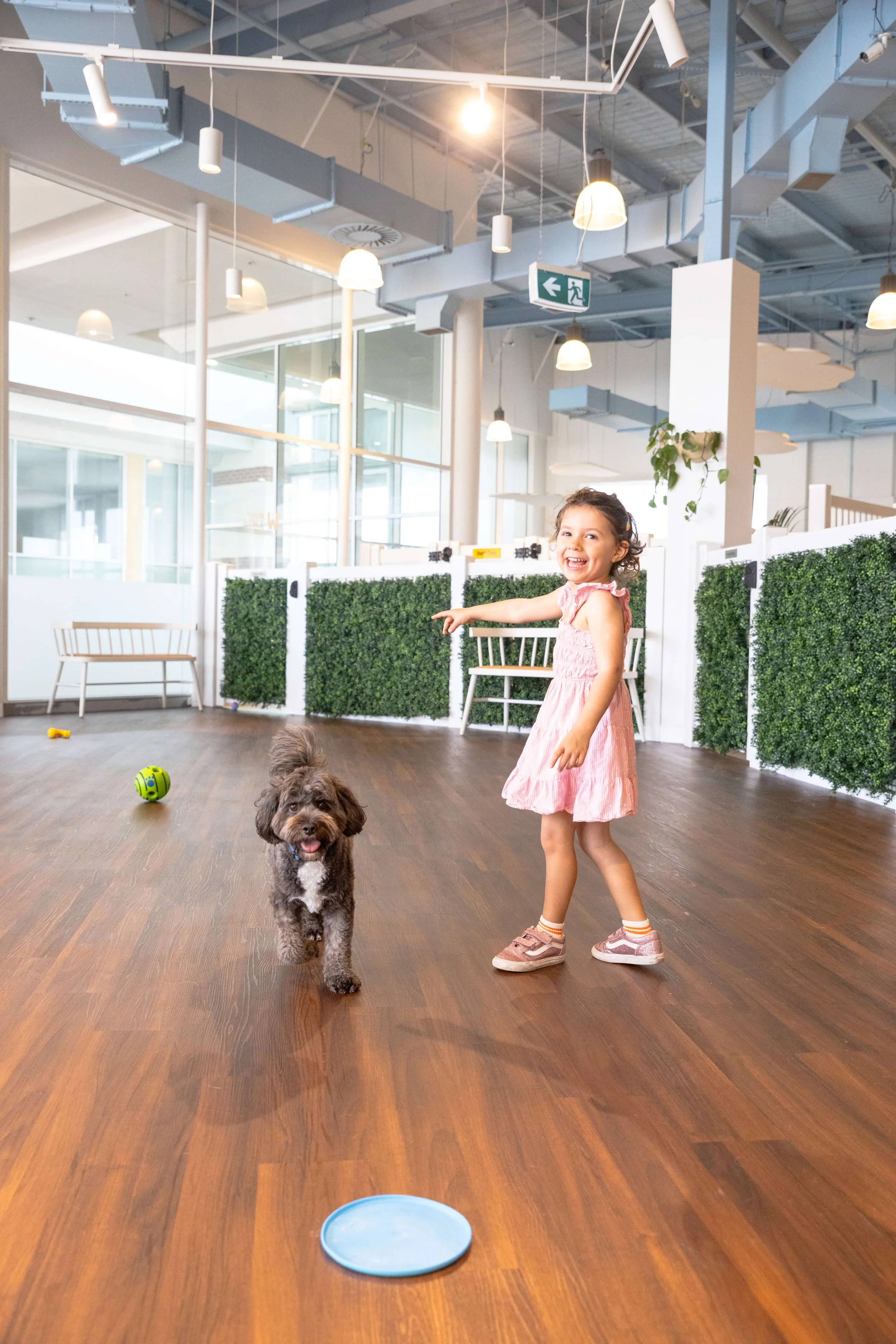 DogChildrenCourse-5.jpg