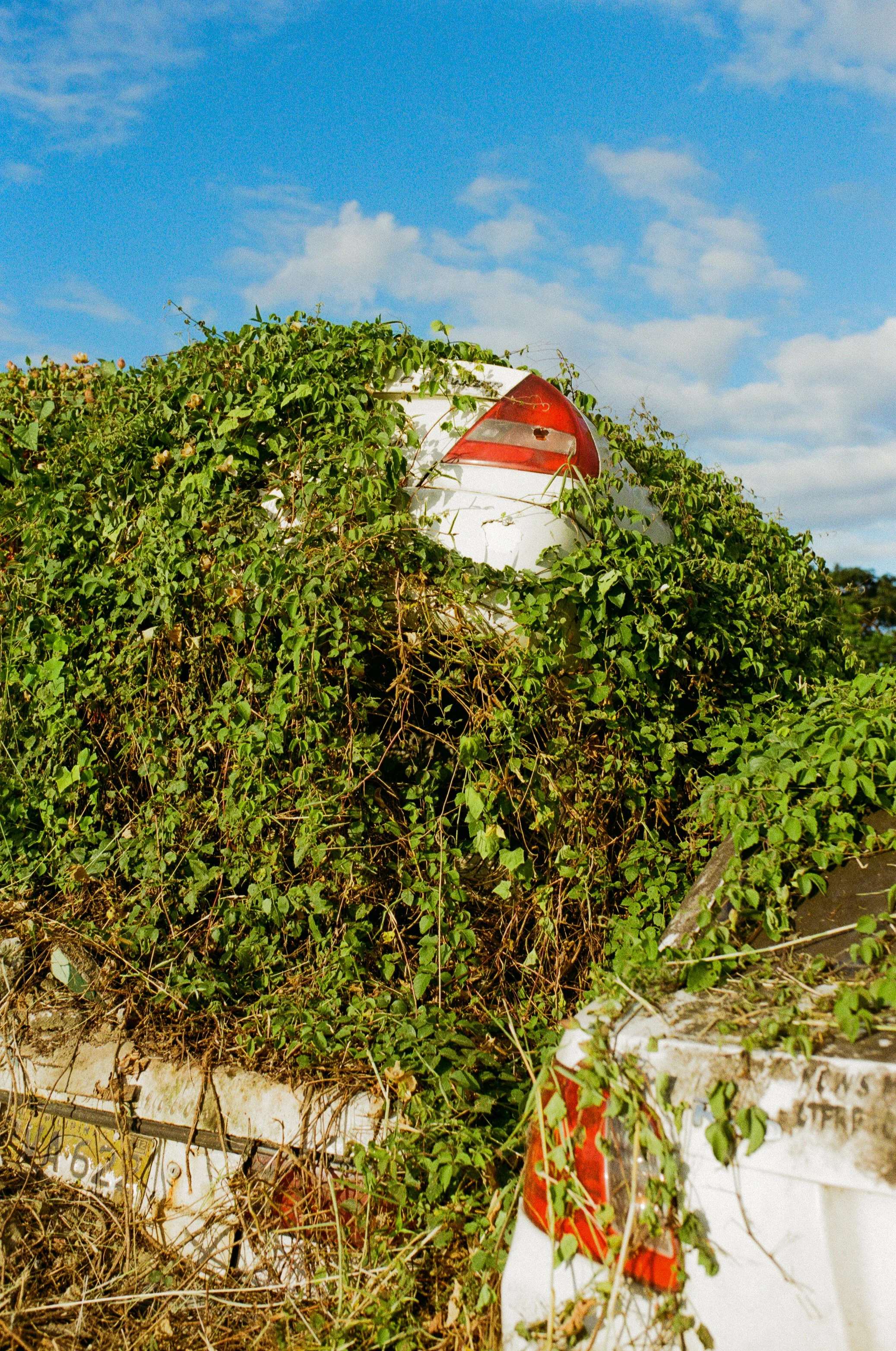 A discarded car tail light partially covered by overgrown green vines and plants, with a cloudy blue sky in the background.