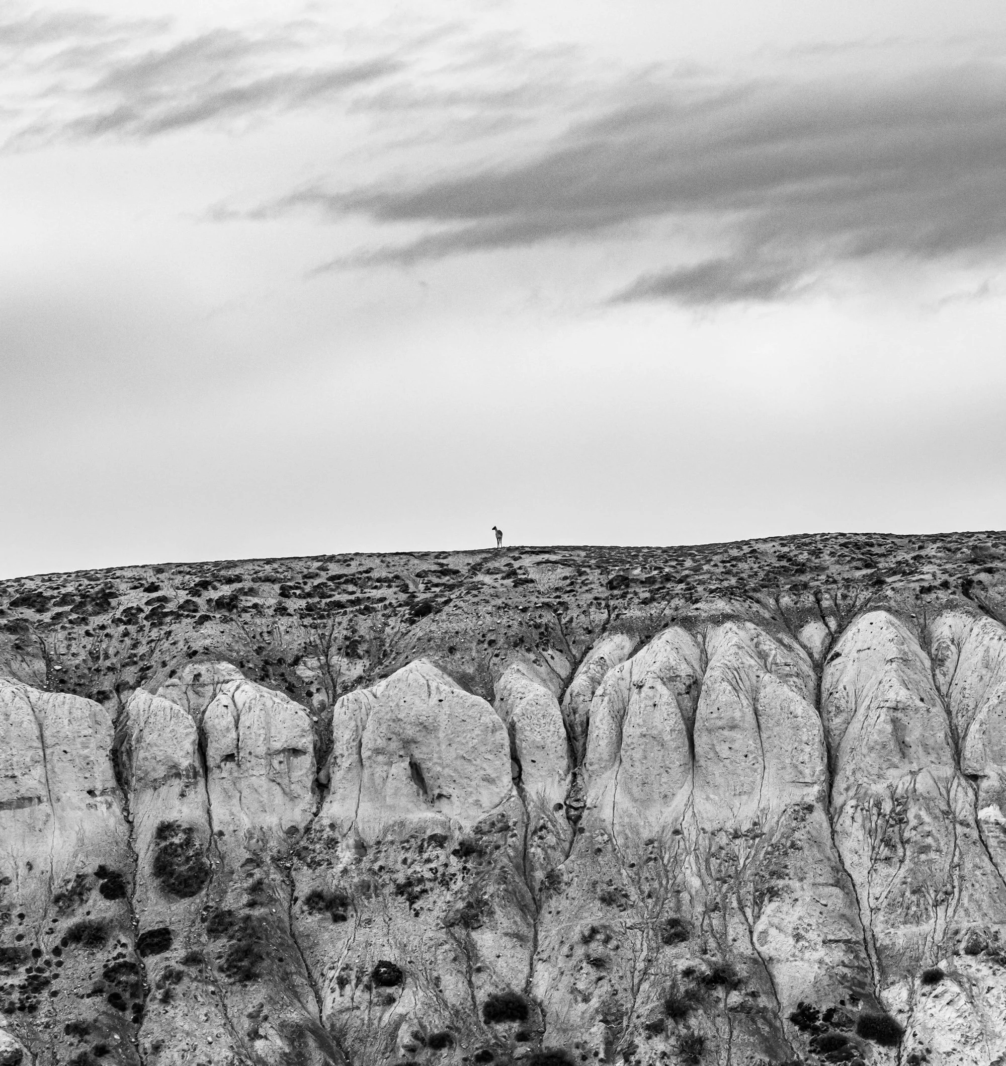 A black and white photo of a rocky landscape with large, eroded cliffs in the foreground, a flat ridge in the middle, and a lone deer standing on the ridge near the horizon, under a cloudy sky.