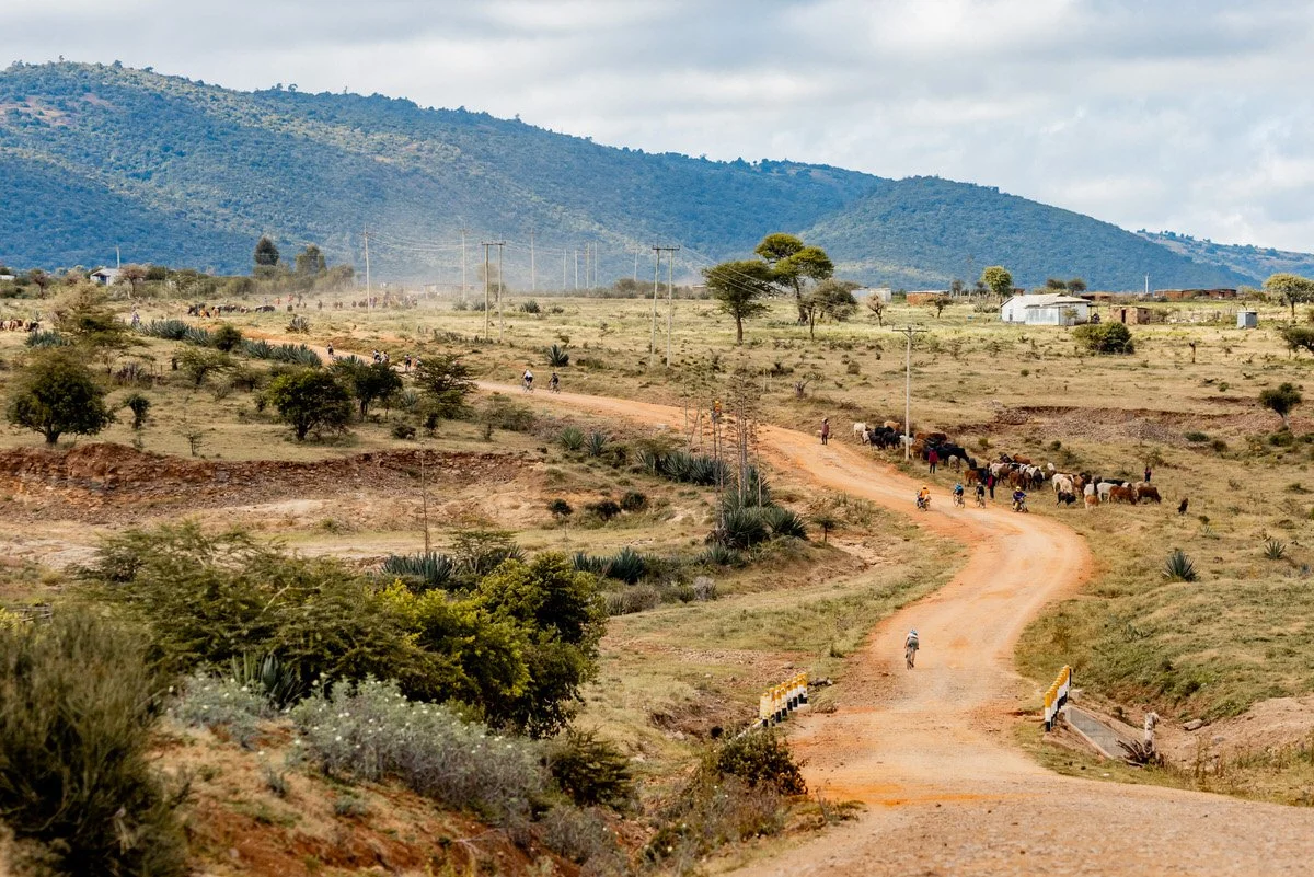 Dirt road winding through a rural landscape with small trees and bushes, cattle herds, and people riding bicycles, with mountains in the background under cloudy skies.
