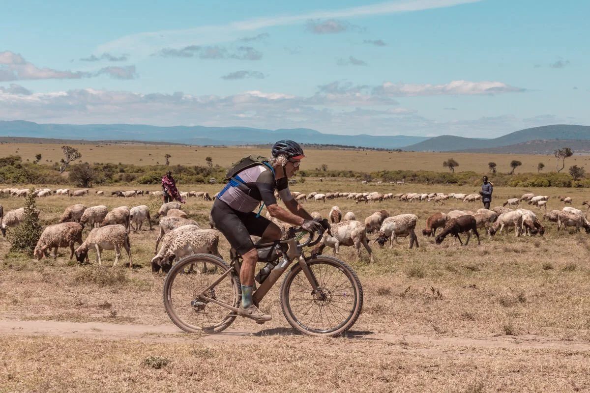A man riding a mountain bike on a dirt trail in a vast open landscape with sheep grazing and two other people in the background, under a partly cloudy sky.