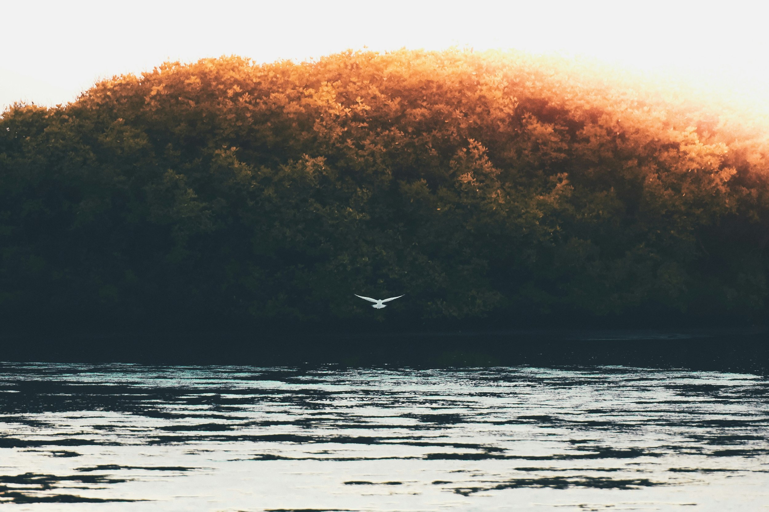 The Right to Switch Off: A Call for Mental Peace in the UK