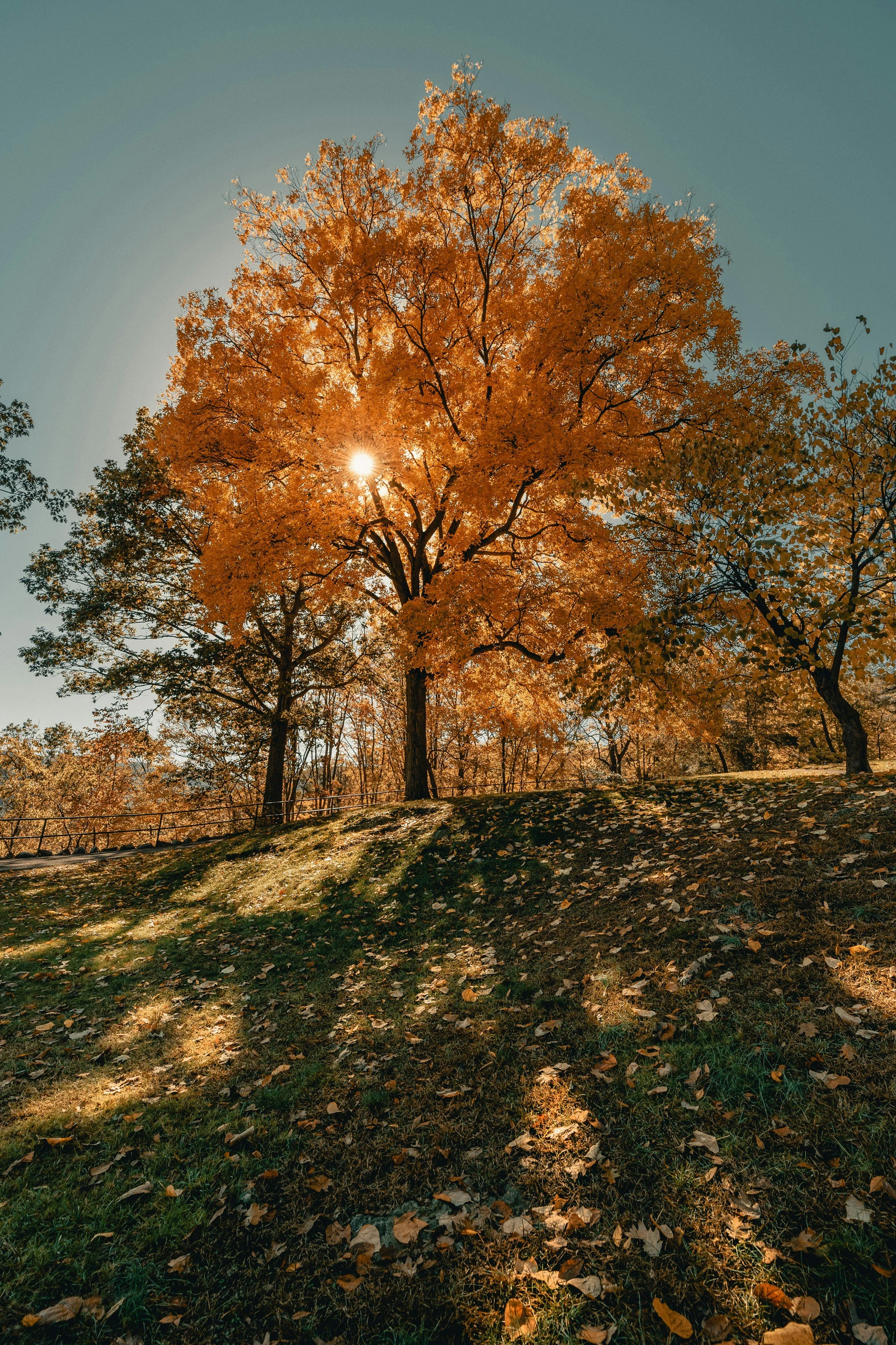 Finding Your September Rhythm