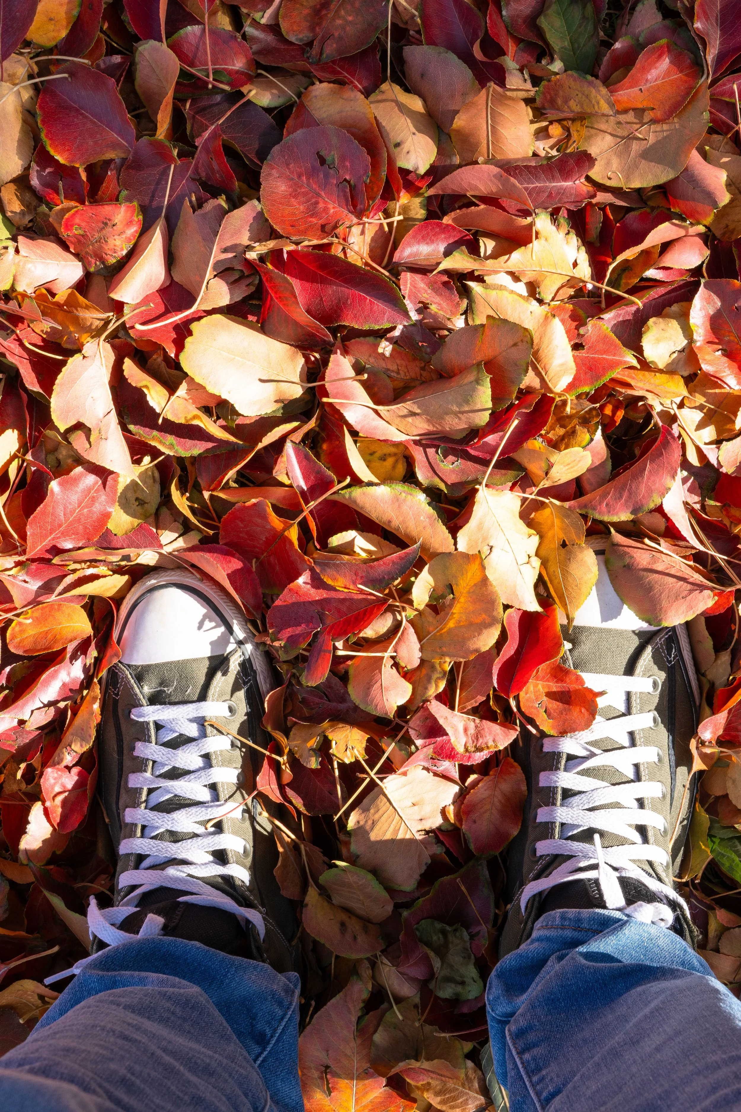 The September Reset: Why Autumn Feels Like a Fresh Start (Even If You're Not in School Anymore)