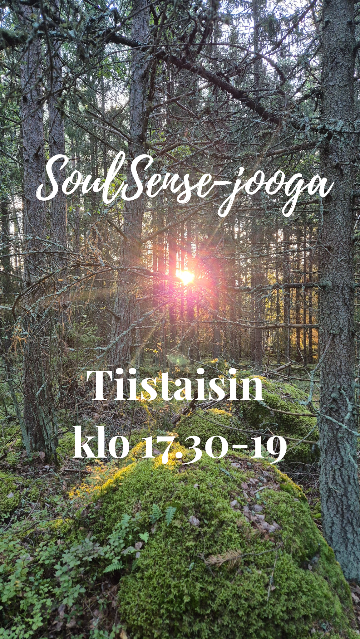 Soulsense jooga (viikkotunti) 