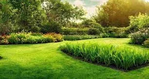 Landscape Lighting Tips to Boost Curb Appeal and Security for Smyrna, GA Homes