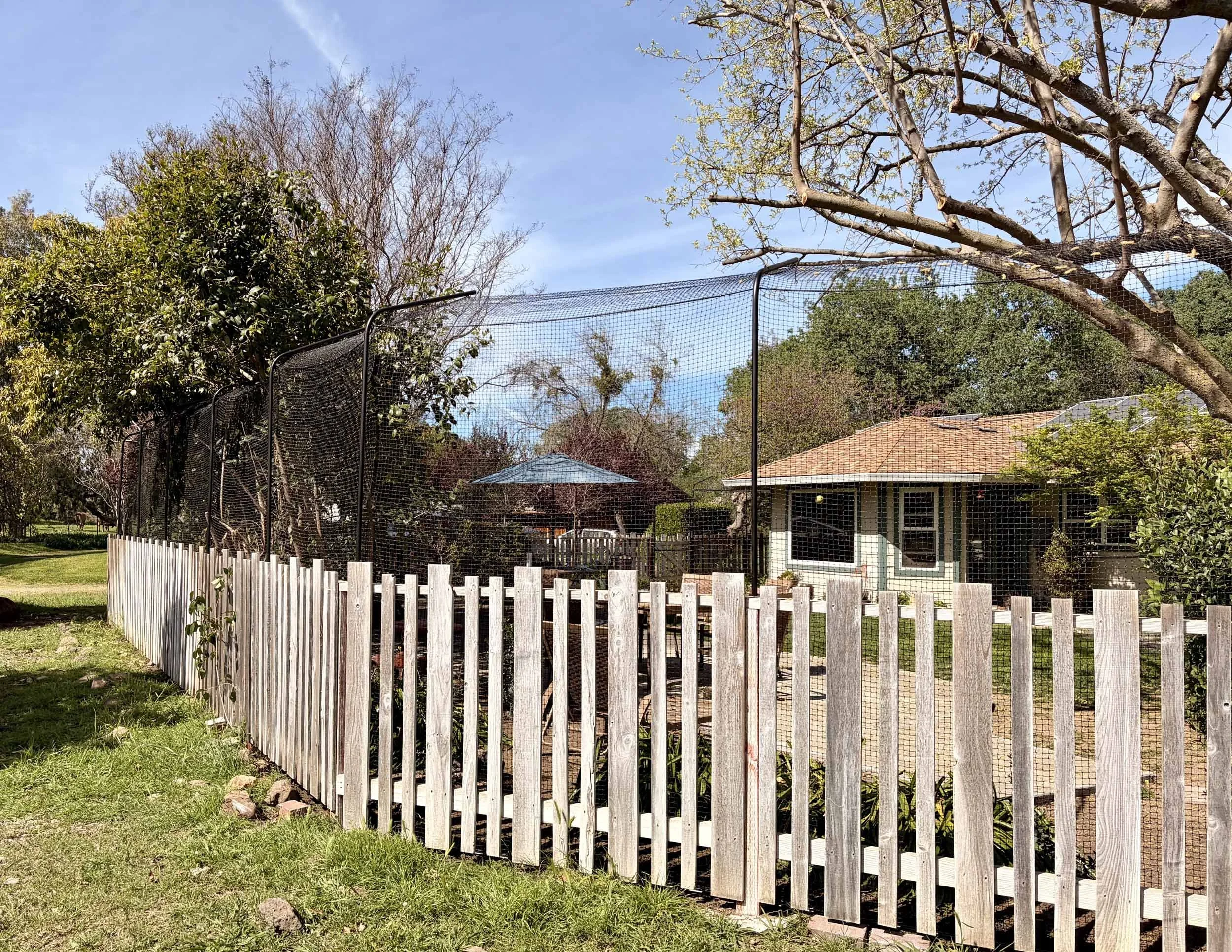 A backyard with a tall wooden fence, a small house with dark windows, trees, and a sky with some clouds.