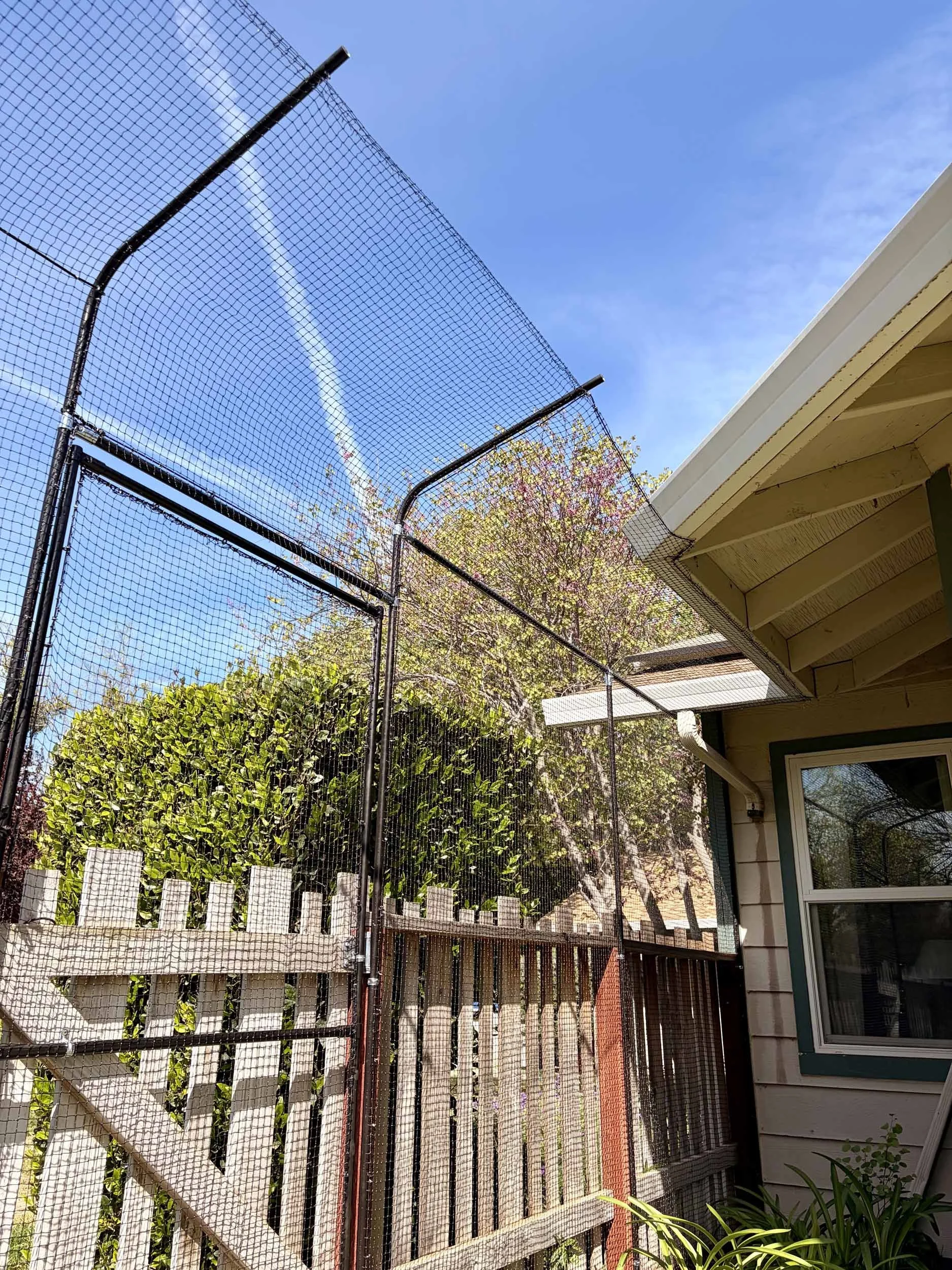 Close-up of a corner of a wooden house with window, surrounded by a garden with plants, trees, a wooden fence, and a black metal mesh screen partially covering the yard against a bright blue sky.