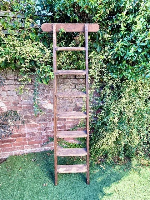 Vintage Challenger Library/shop ladder