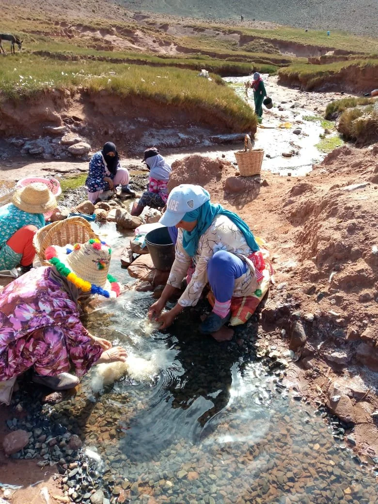 WhatsApp Image 2025-08-19 at 15.37.05.jpeg