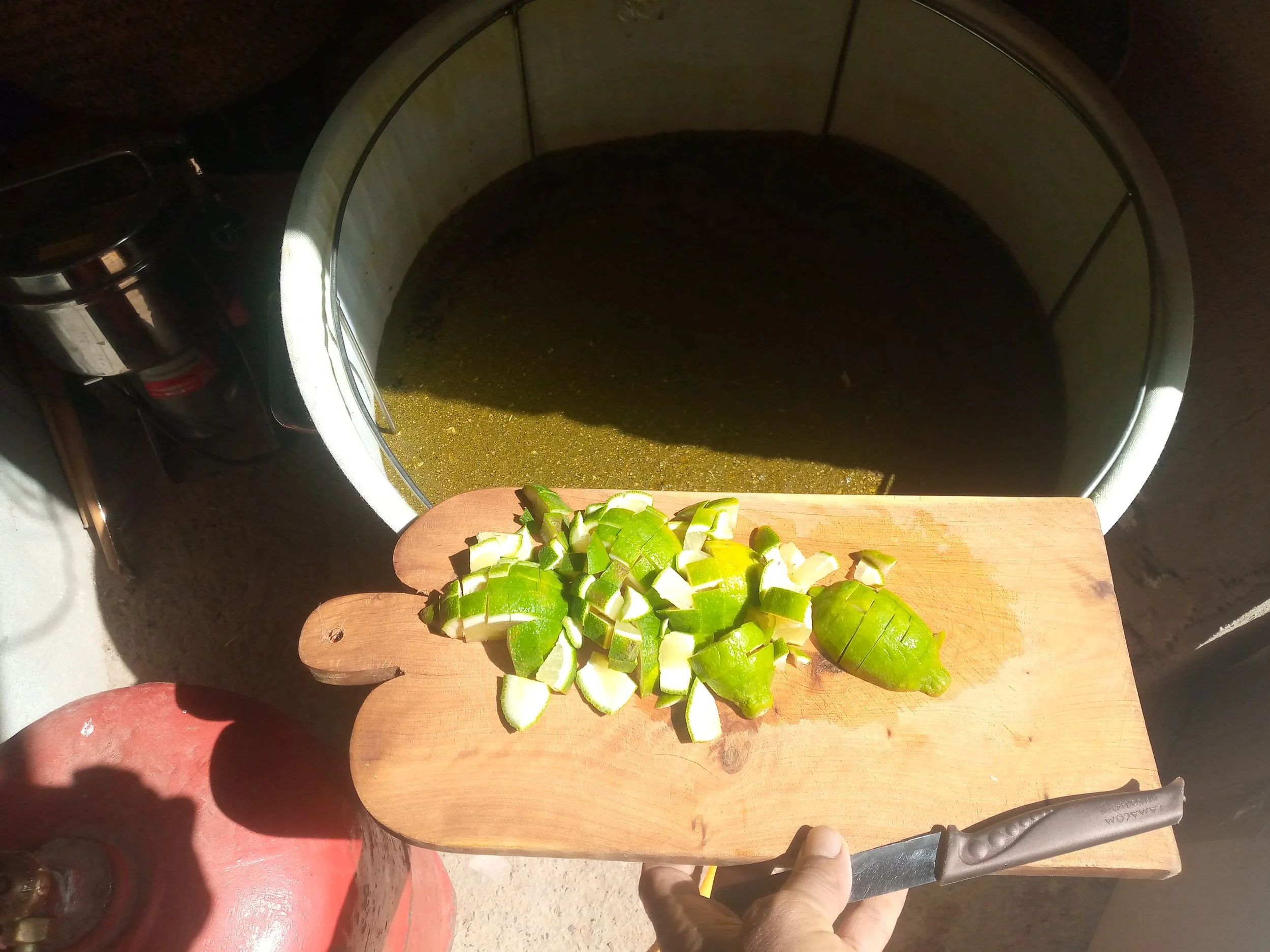 WhatsApp Image 2025-08-09 at 11.17.26.jpeg