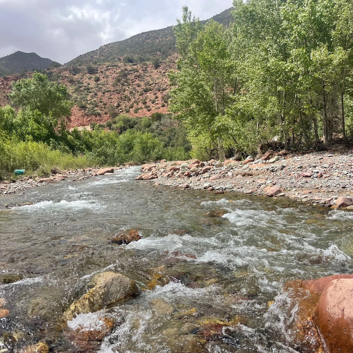 Wad to Window

The story behind a specially commissioned set of handwoven curtains - crafted from plant dyed hand spun #Siroua wool.

join us as we tell the story of the creation of the cloth for the project - we visit the Wad (Ouad/River) in the Hig
