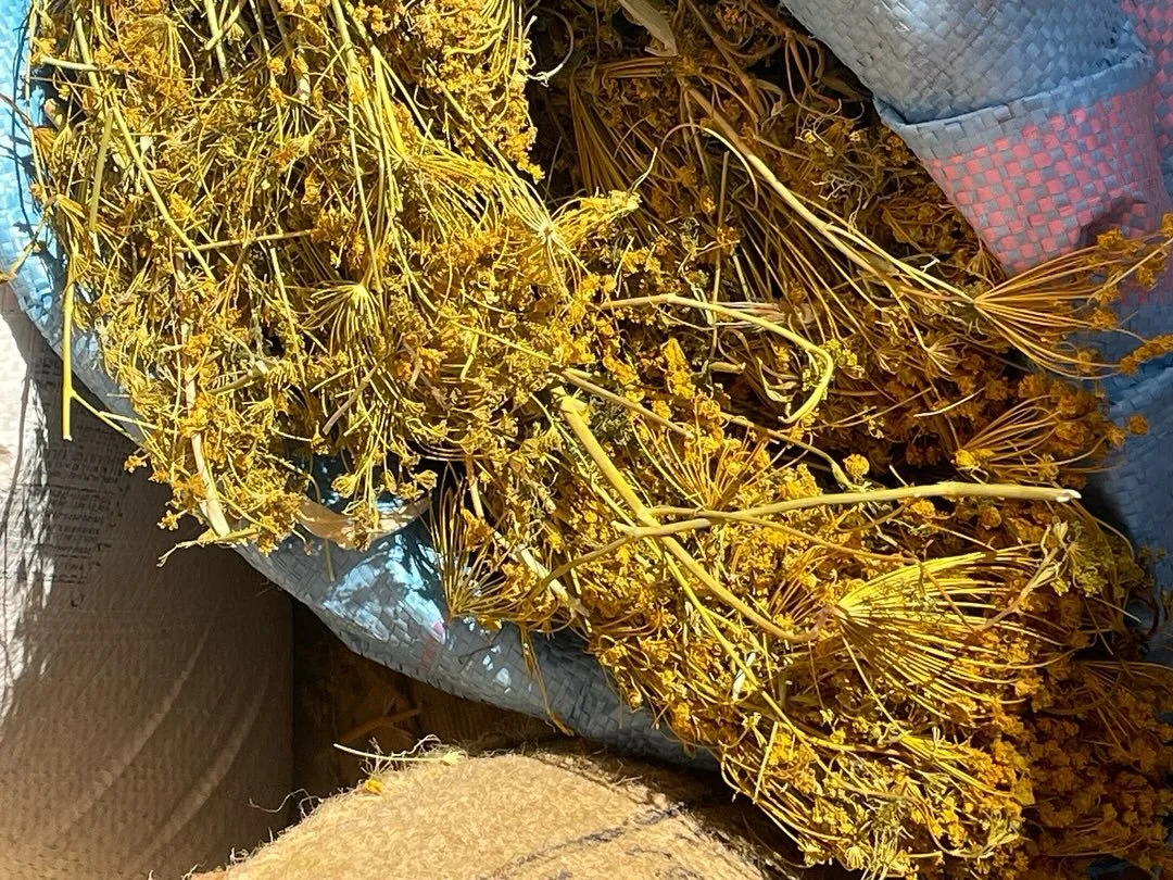 Autumn workshops in Douar Laarab..

Colours of the Souk
Begin your journey by dyeing hand spun wool with spices sourced from the local souk. Discover how henna, turmeric, pomegranate and other natural ingredients can create a vibrant palette, while e