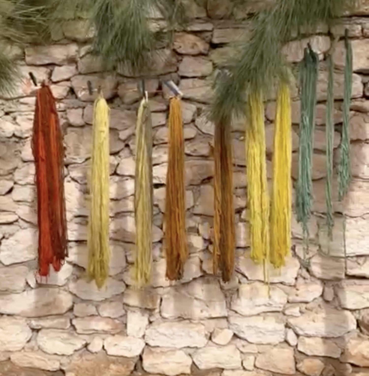 Screenshot 2026-02-11 at 14.46.45.png