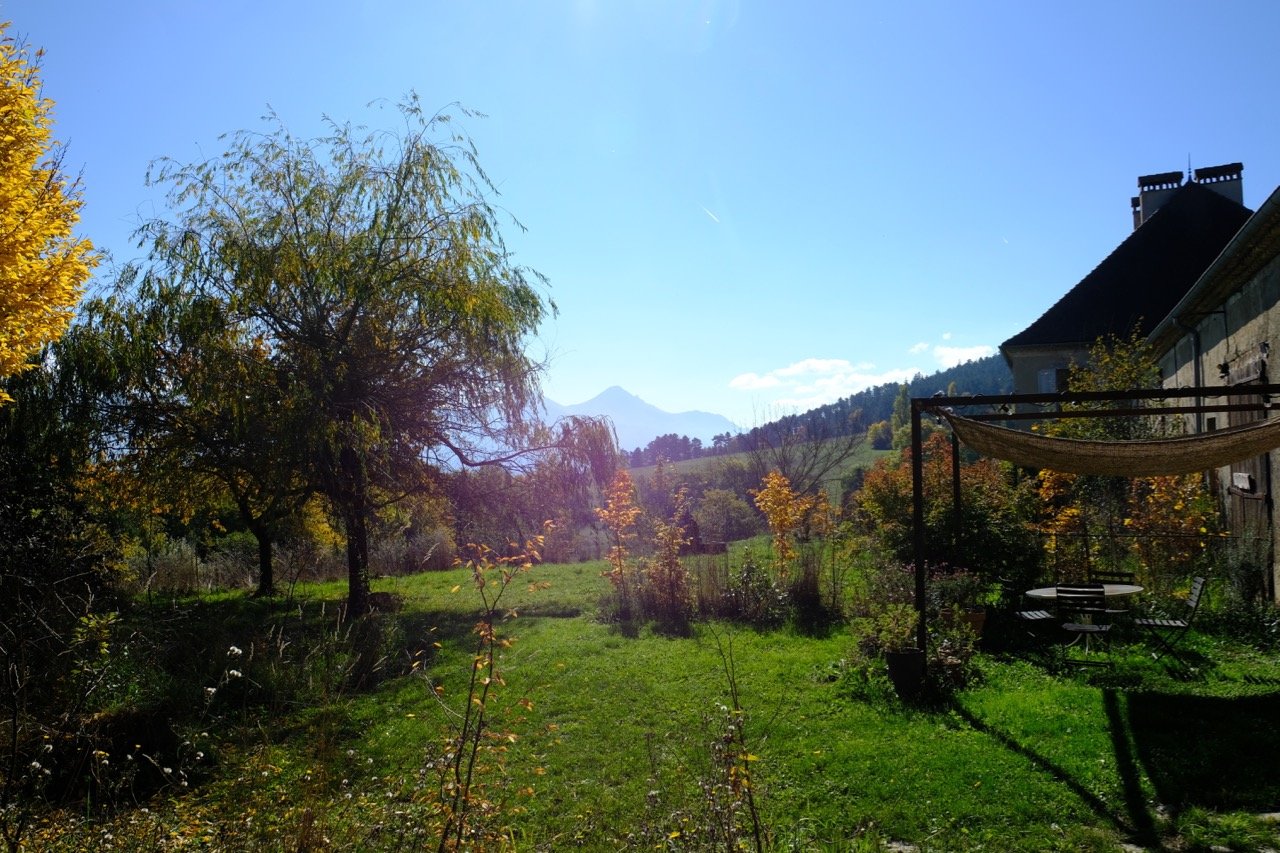 DSCF9802.jpg