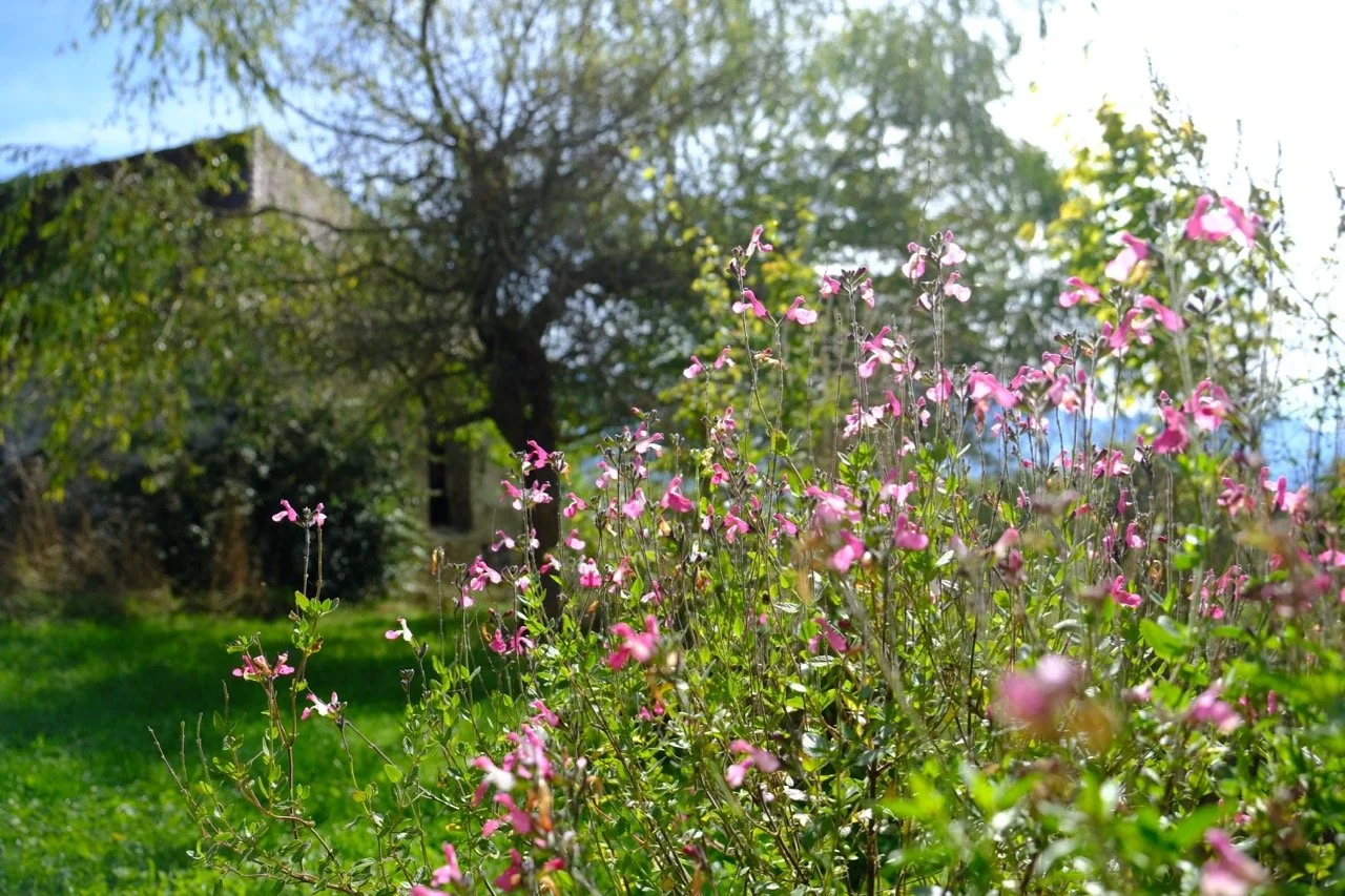 DSCF9789.jpg