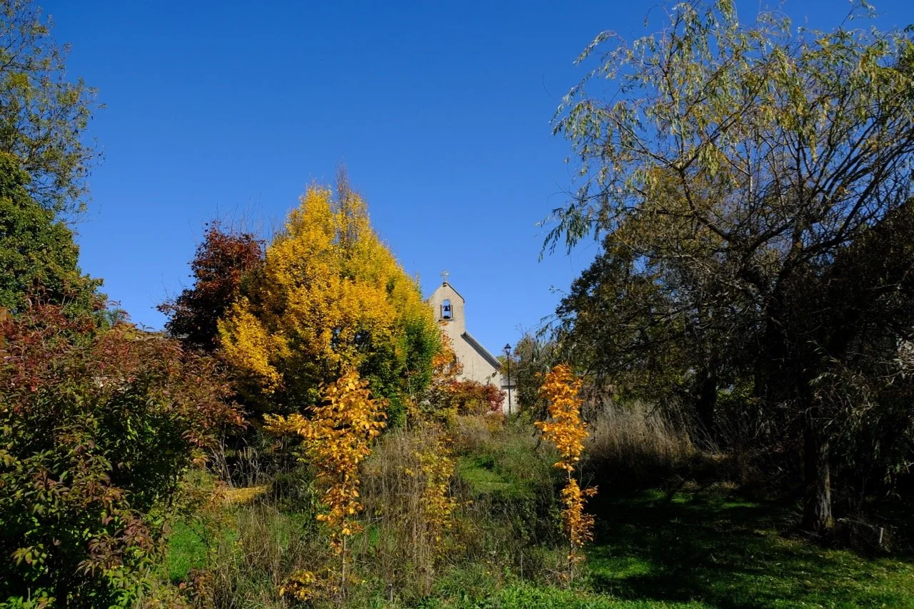 L'église voisine.