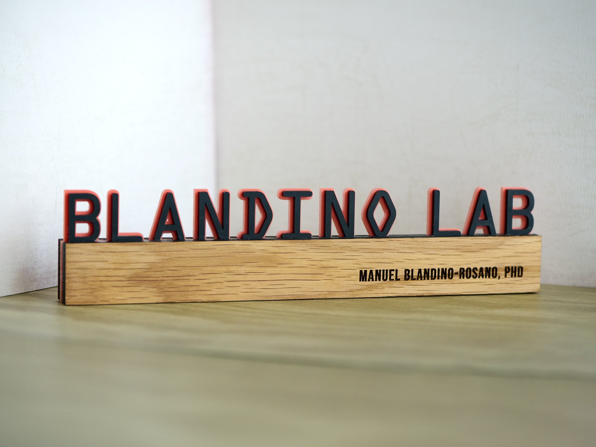 Double+Layered+Personalized+Desk%3AShelf+Nameplate+1.jpg