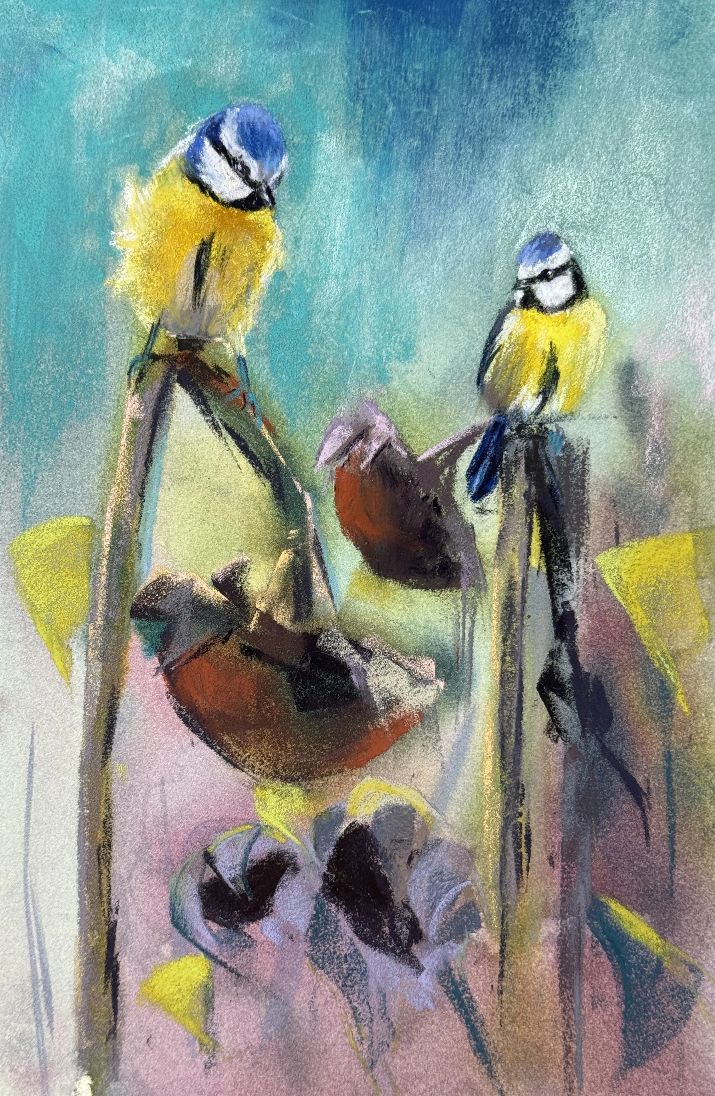Mésanges bleus sur tournesols / Bluetits on sunflowers. Pastel doux sur Canson Velvet. 30x20cm. £150