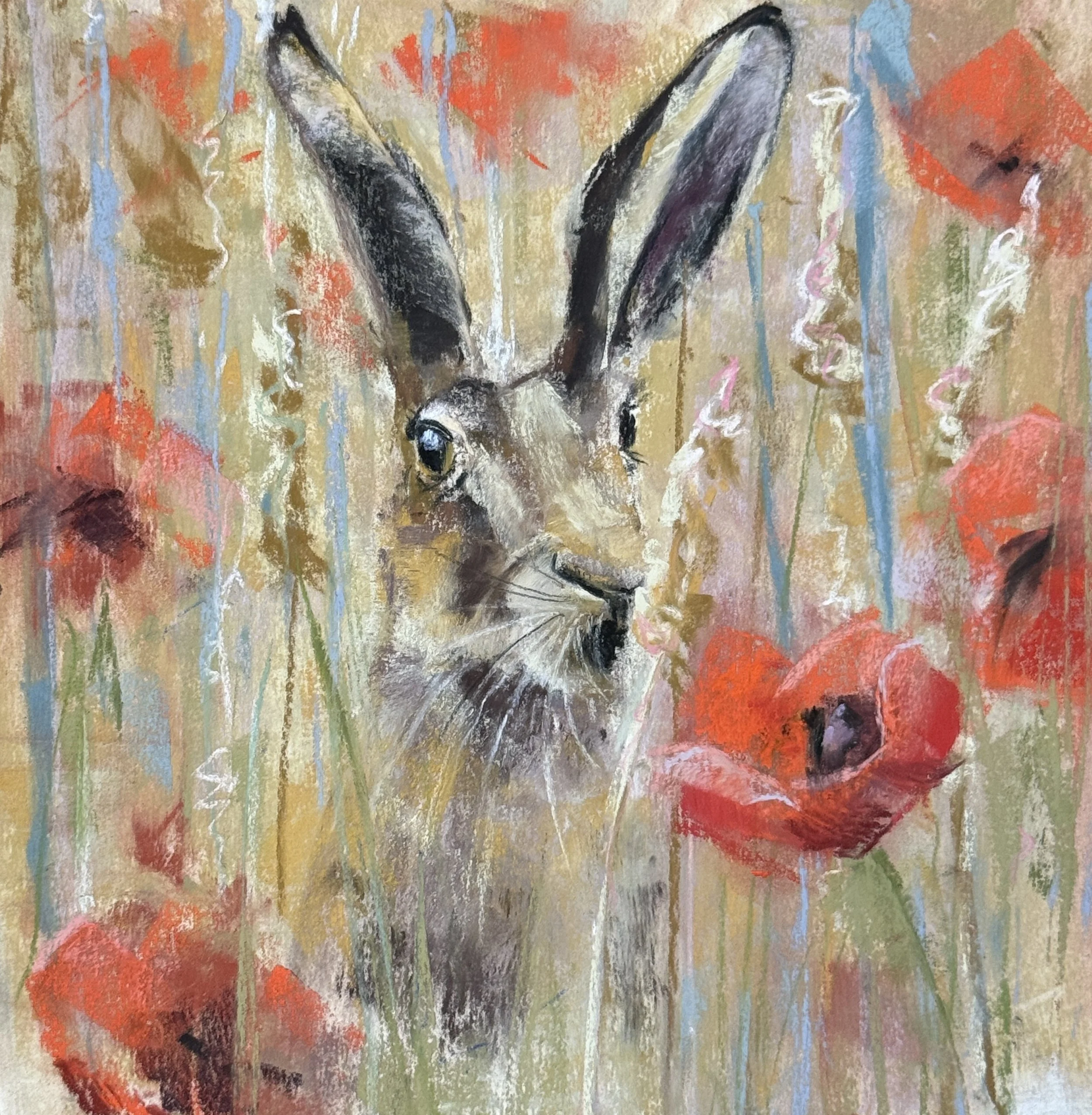 Un lièvre et des coquelicots / A hare and poppies. 20 x 20cm. VENDU