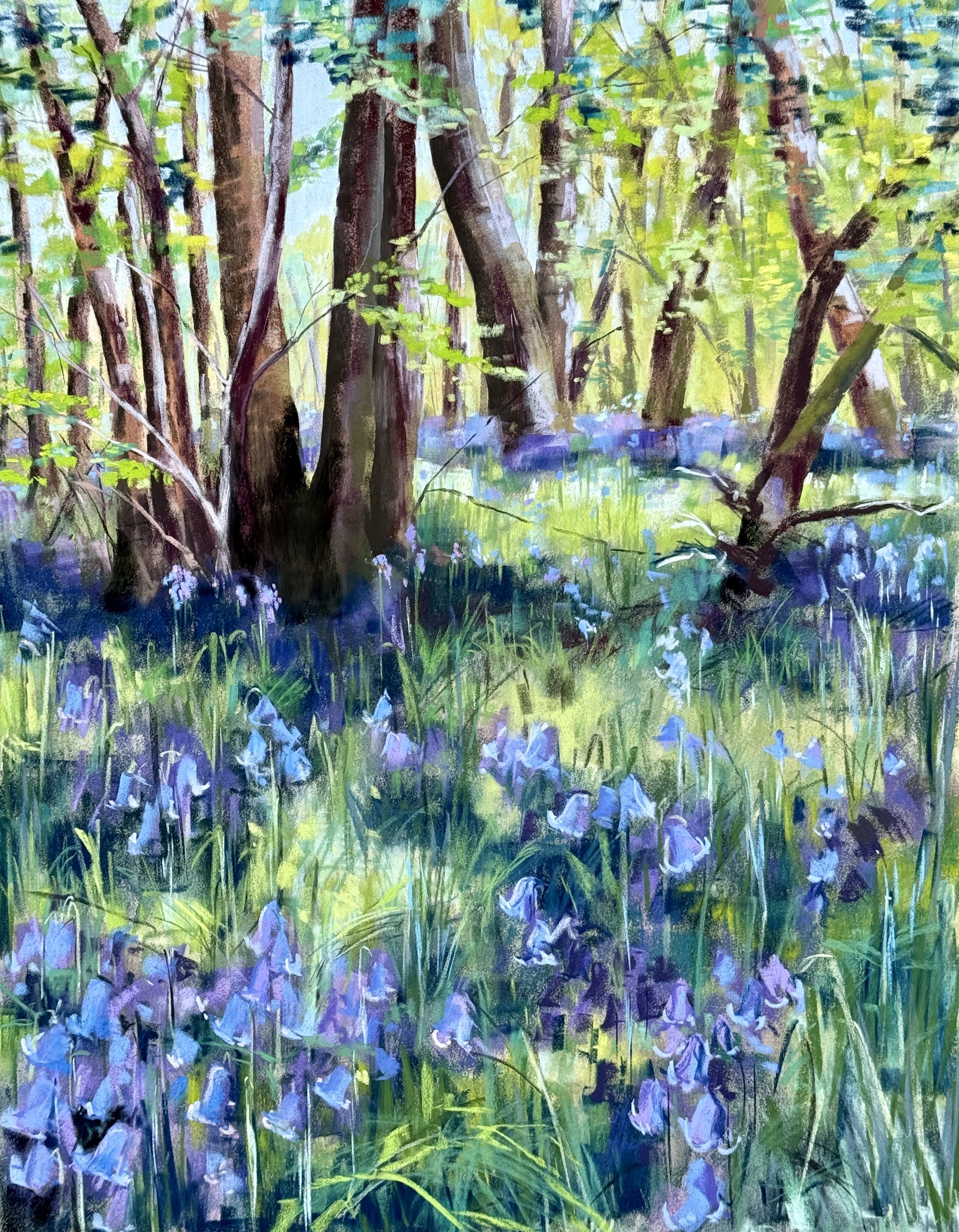 Bluebell woodland. Soft pastel on Canson velvet 61x48cm. Original available £850. (Contact me to buy).