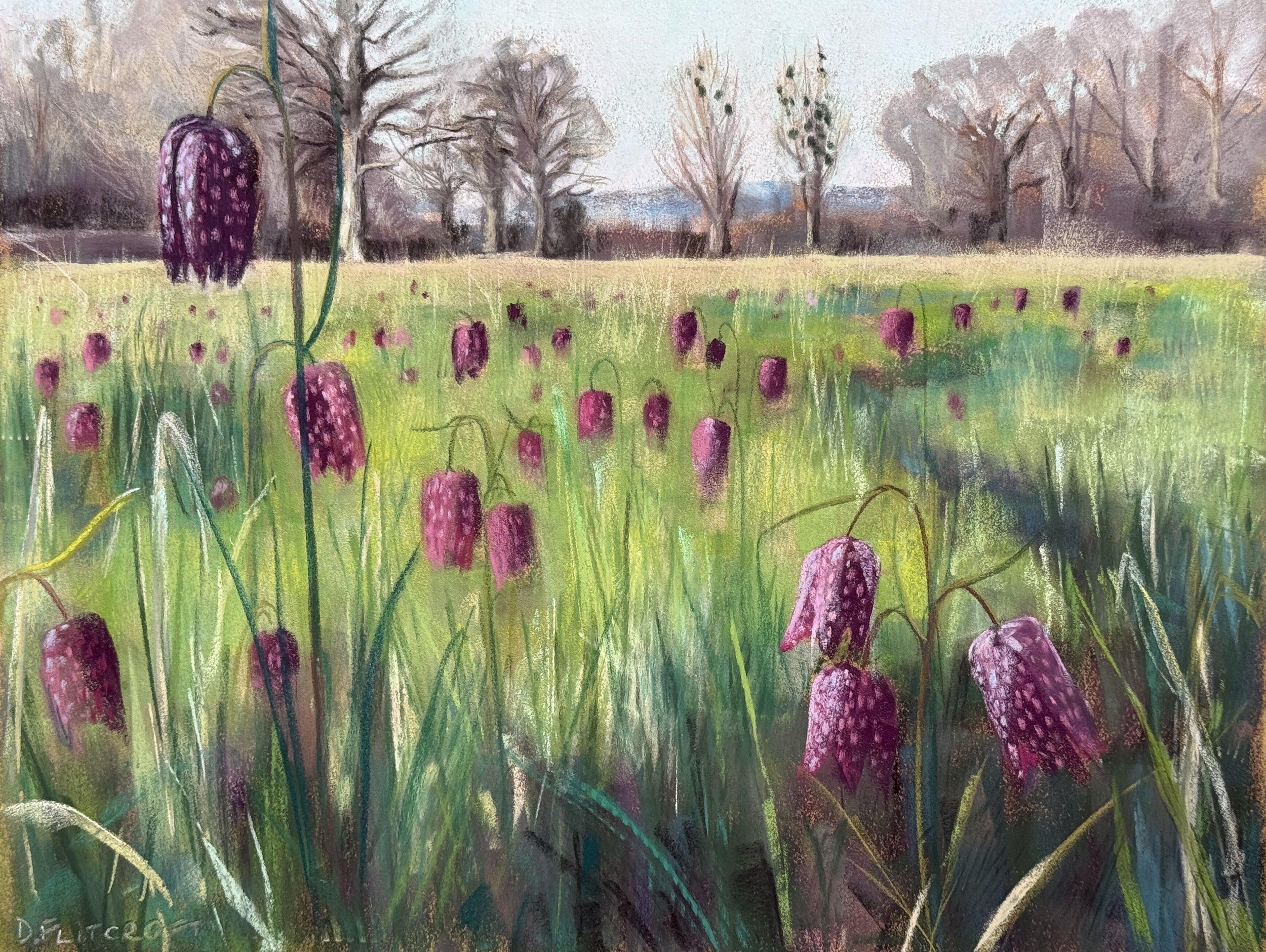 Snakehead fritillaries, Val de la Bonnieure. Soft pastel on Canson velvet 30x40cm. £300. (Contact me to purchase)